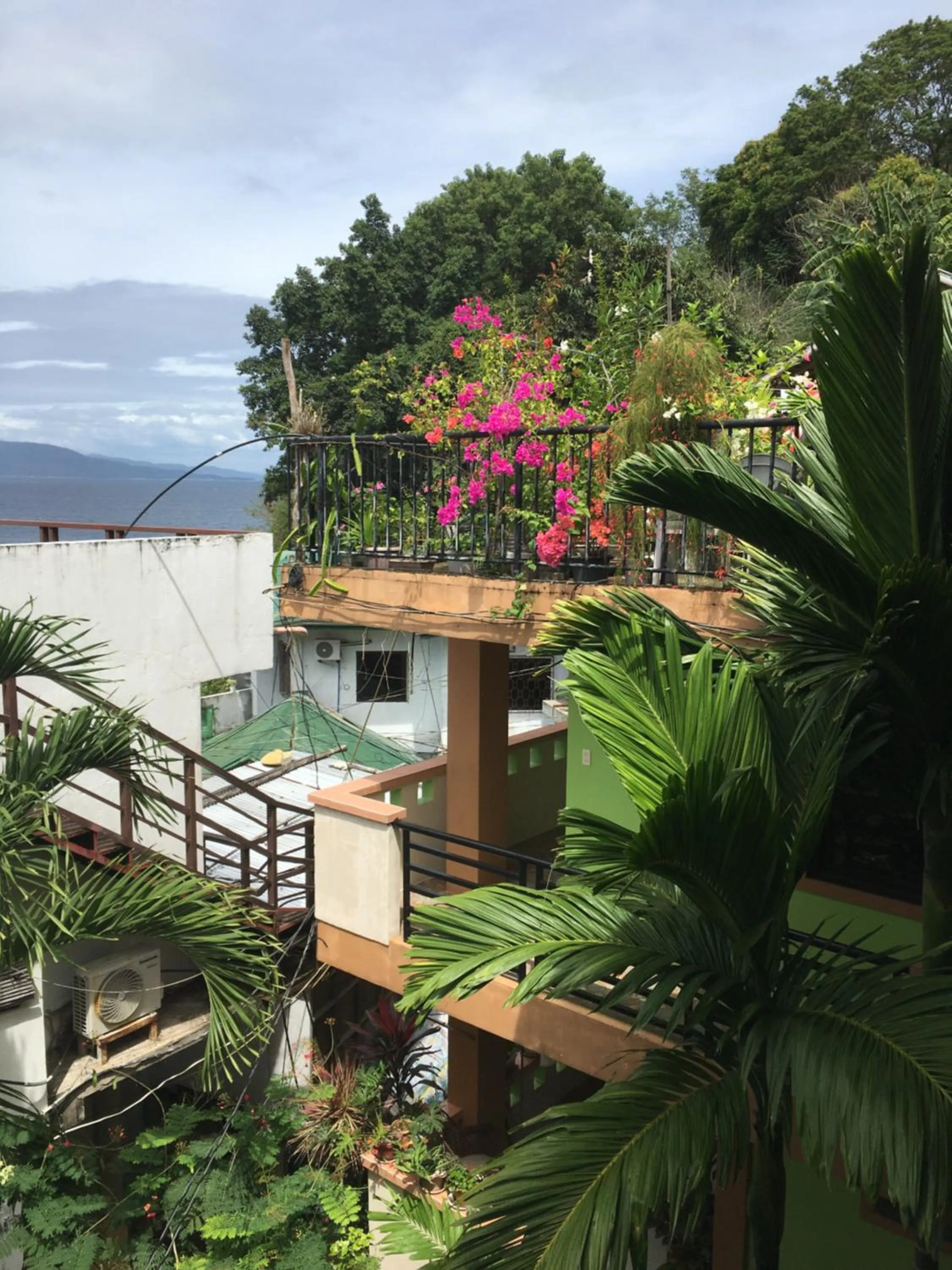 Garden in Reynaldo's Upstairs