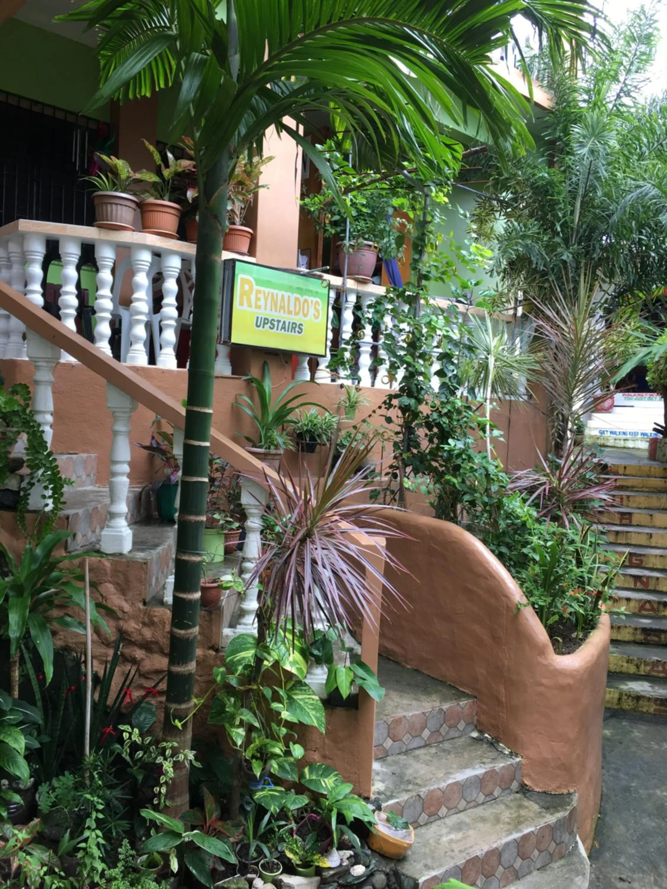 Garden in Reynaldo's Upstairs