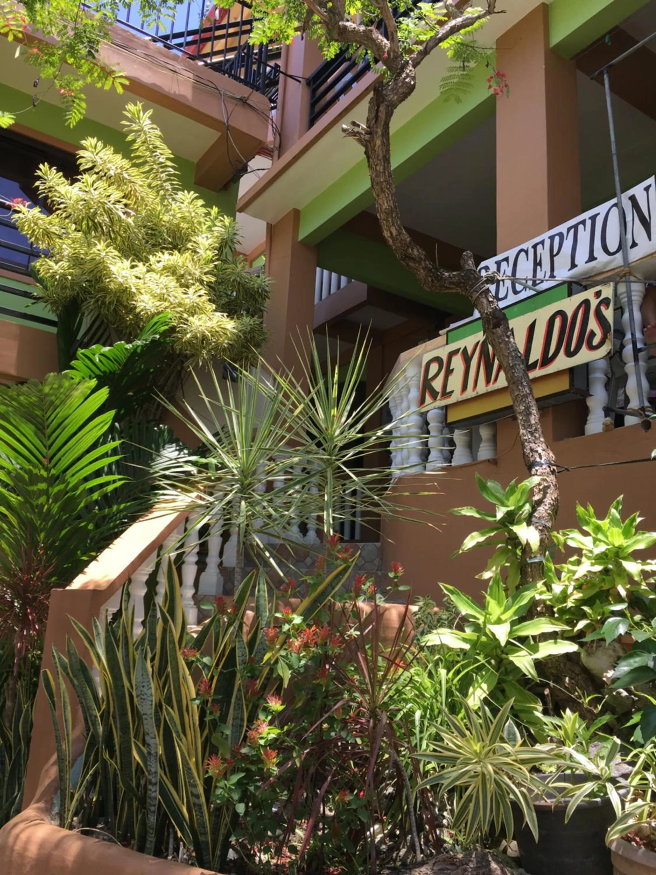 Garden in Reynaldo's Upstairs