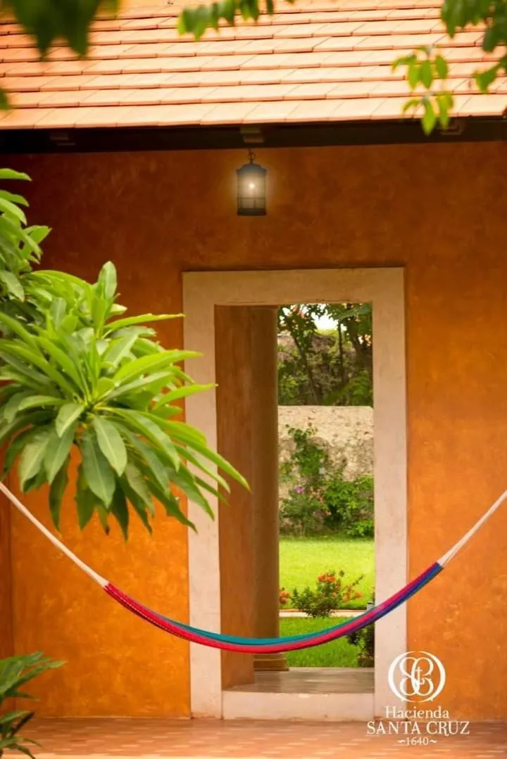 Natural landscape in Hacienda Santa Cruz Merida