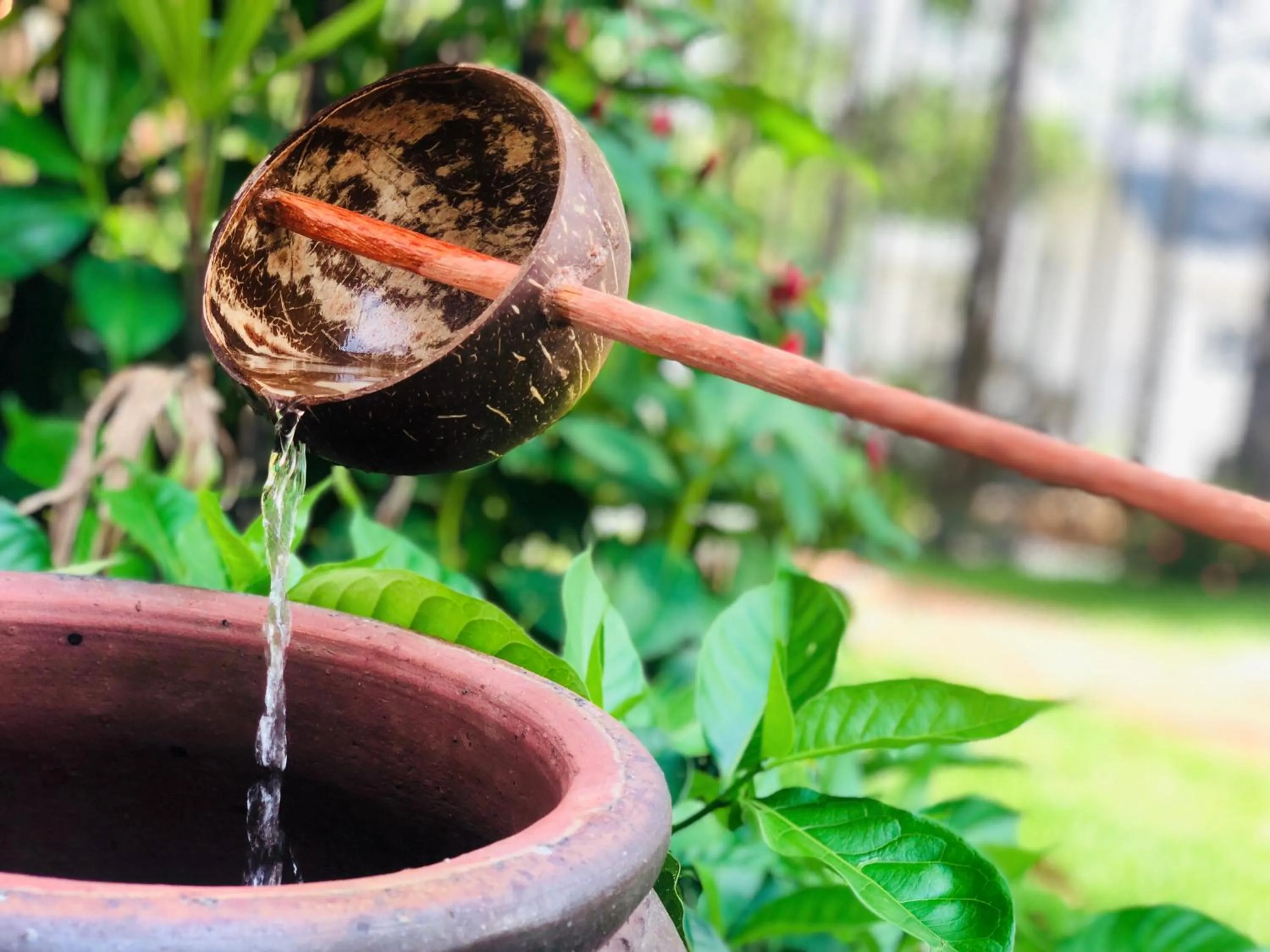 Đồi Sao Phú Quốc