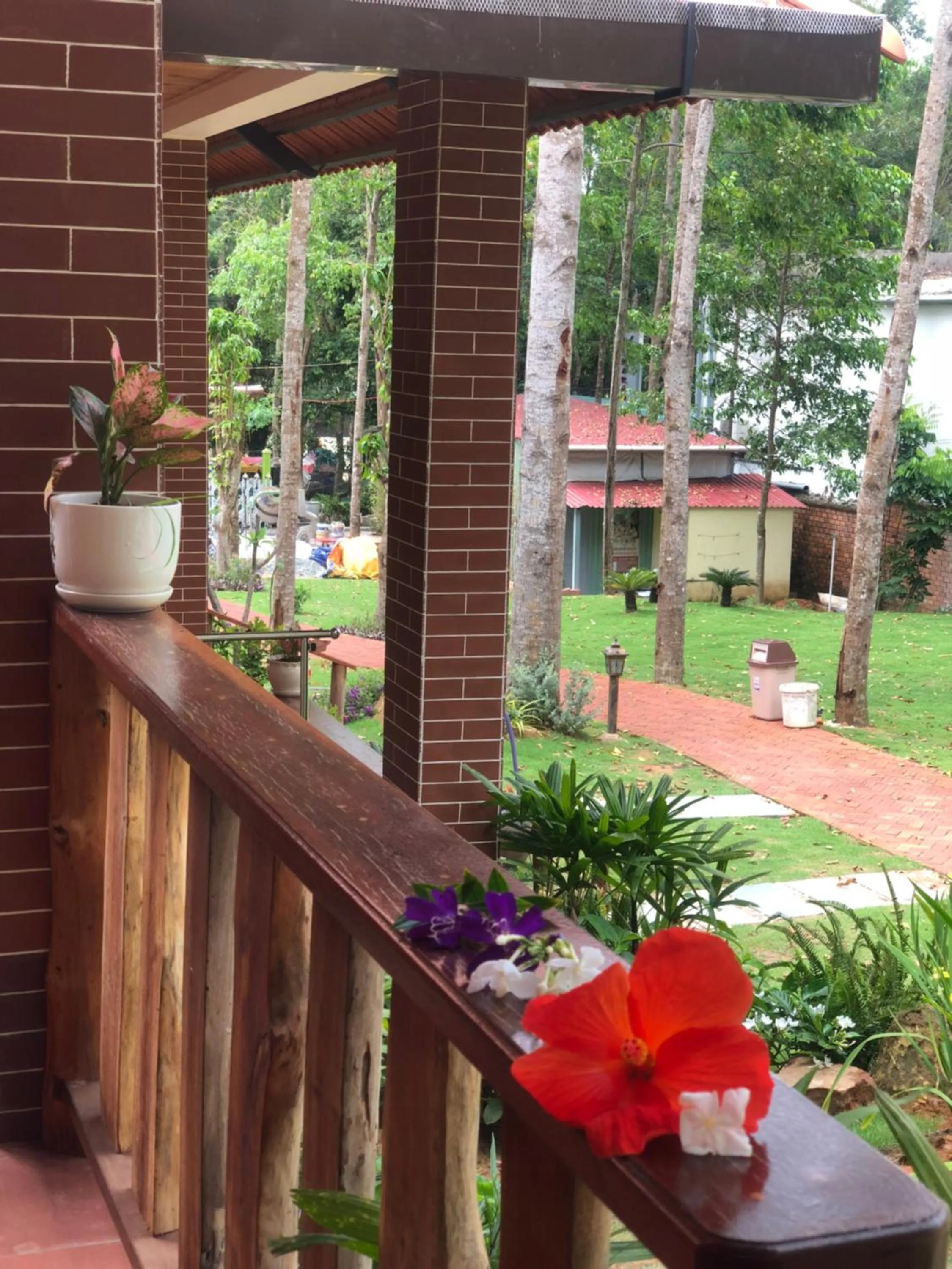 Đồi Sao Phú Quốc