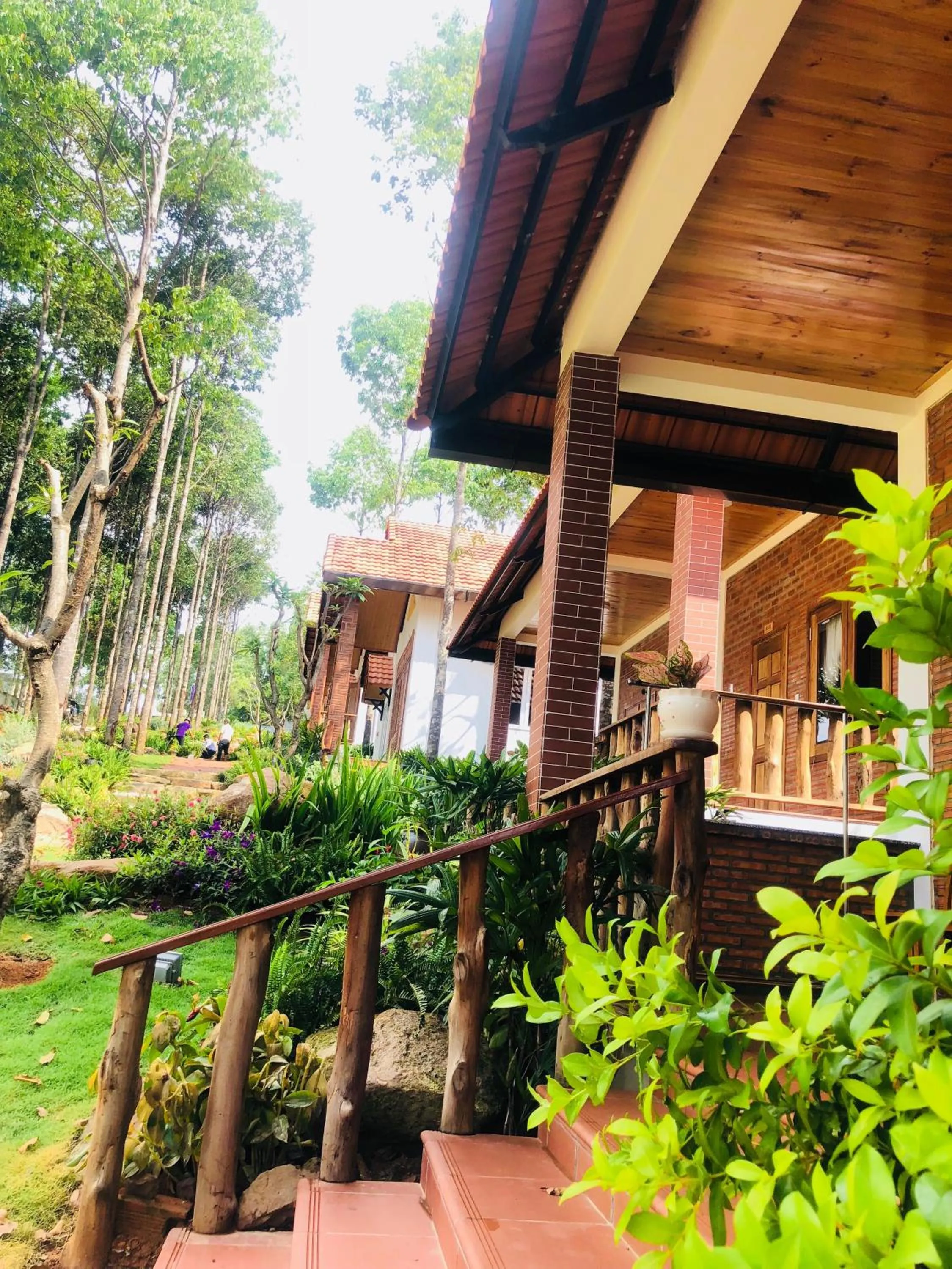 Đồi Sao Phú Quốc