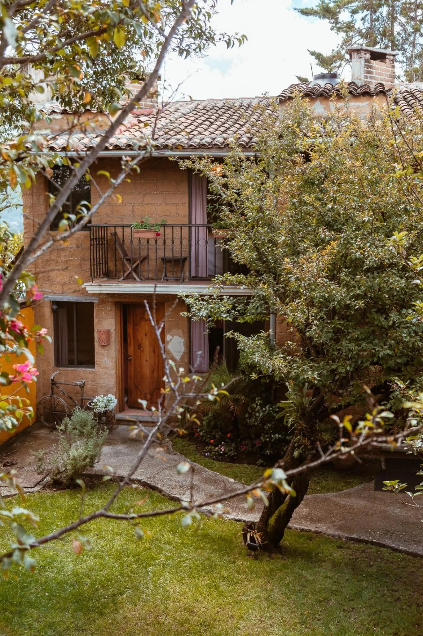 Garden in Hotel Villas Casa Morada
