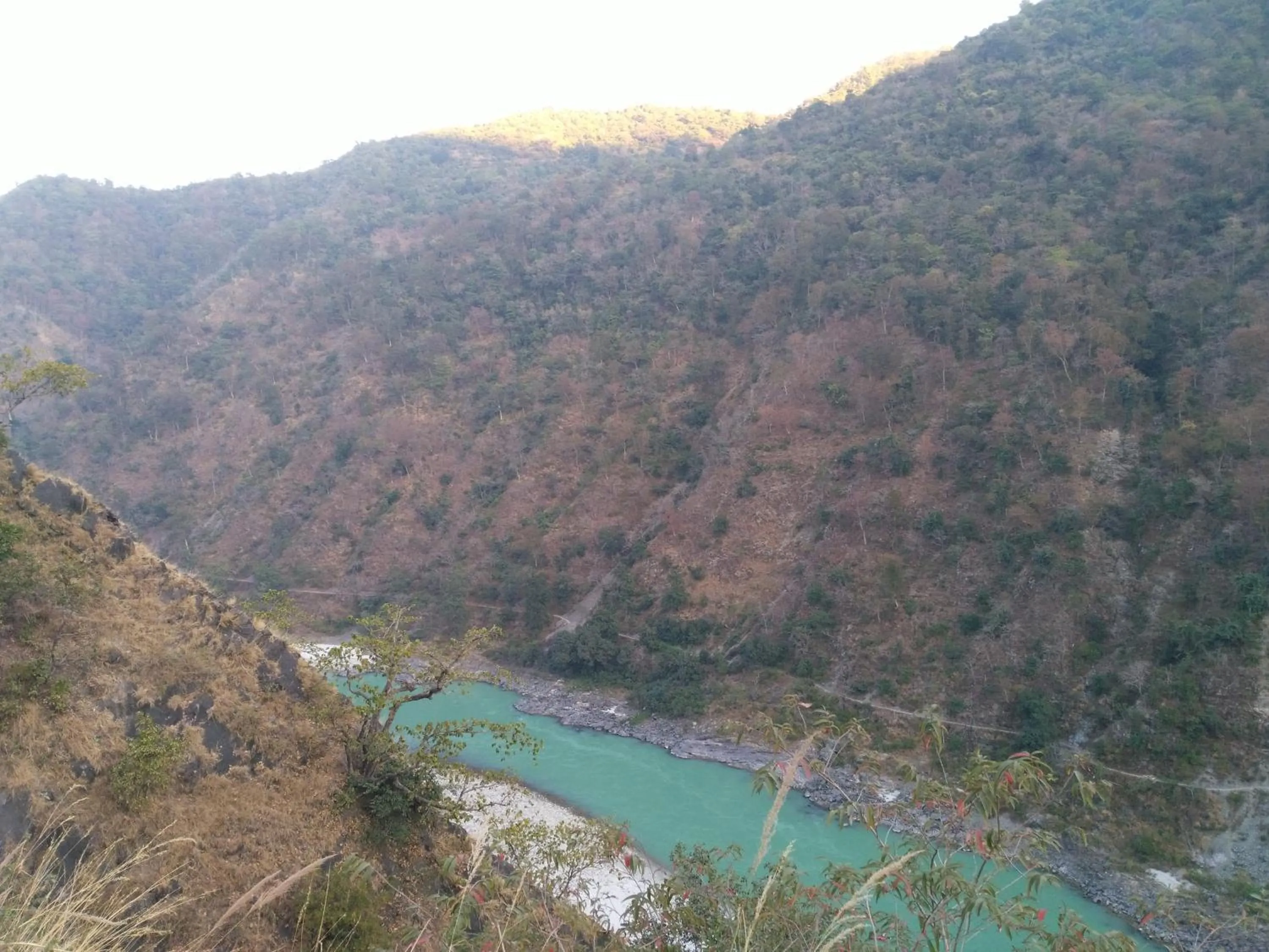 Natural landscape in Samira's Birds & Butterflies Park-Spashram Ganga Beach Retreat
