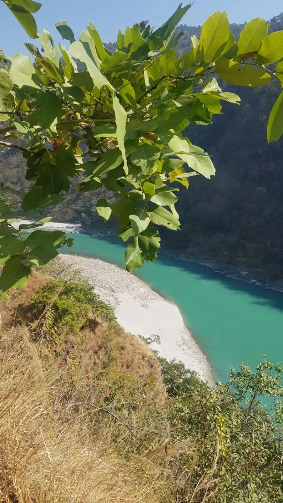 Samira's Birds & Butterflies Park-Spashram Ganga Beach Retreat