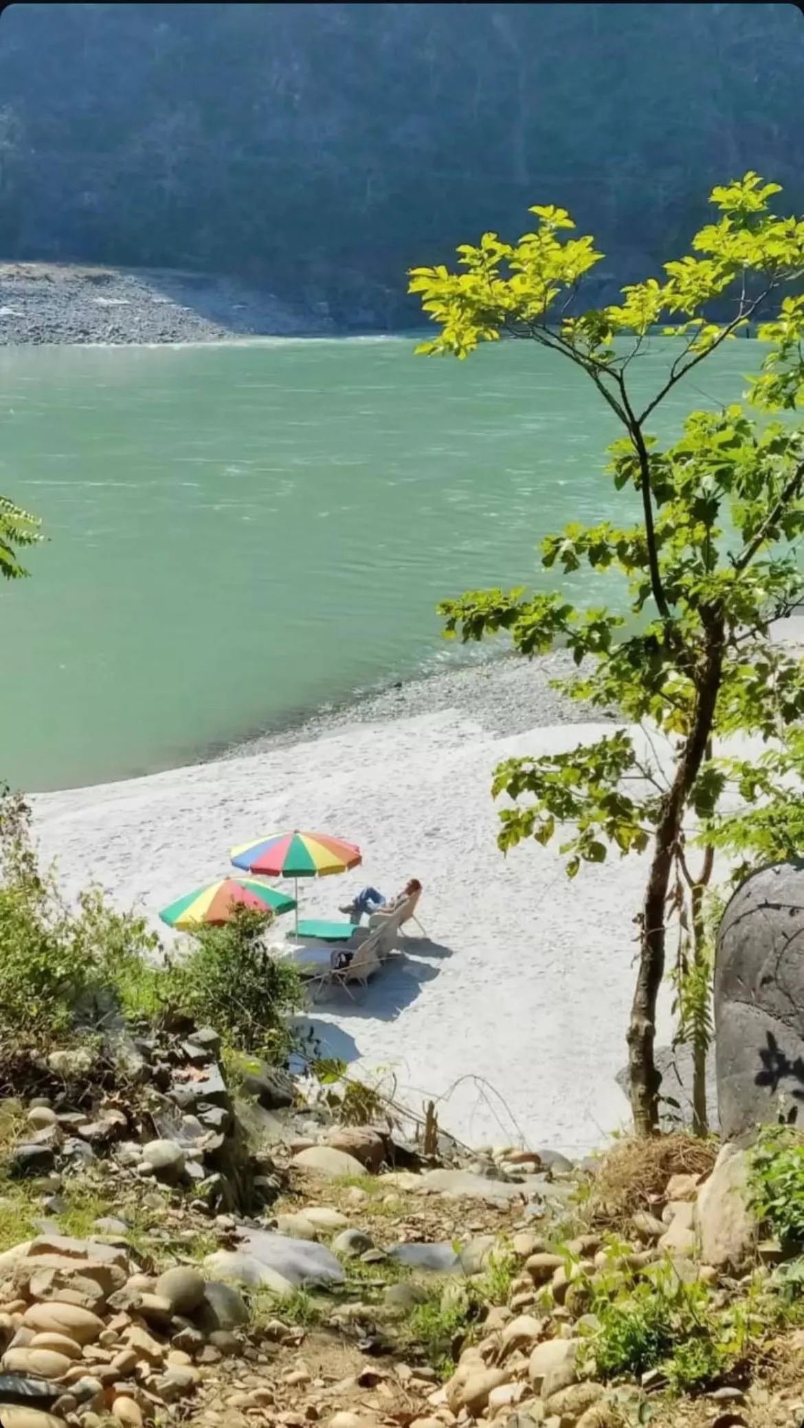 Samira's Birds & Butterflies Park-Spashram Ganga Beach Retreat