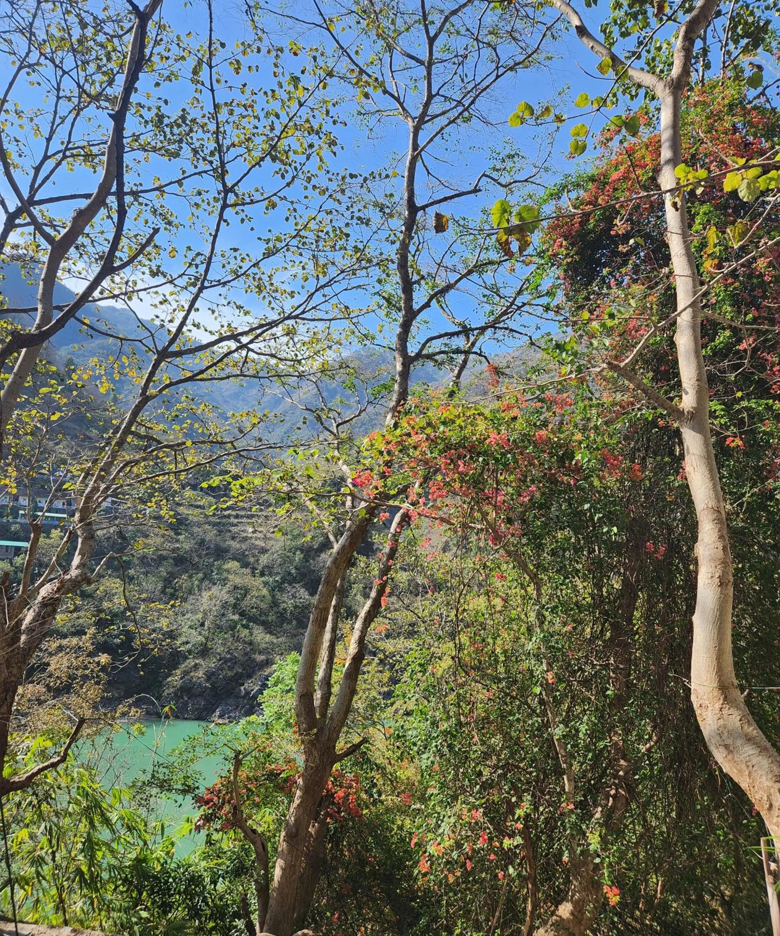 Samira's Birds & Butterflies Park-Spashram Ganga Beach Retreat