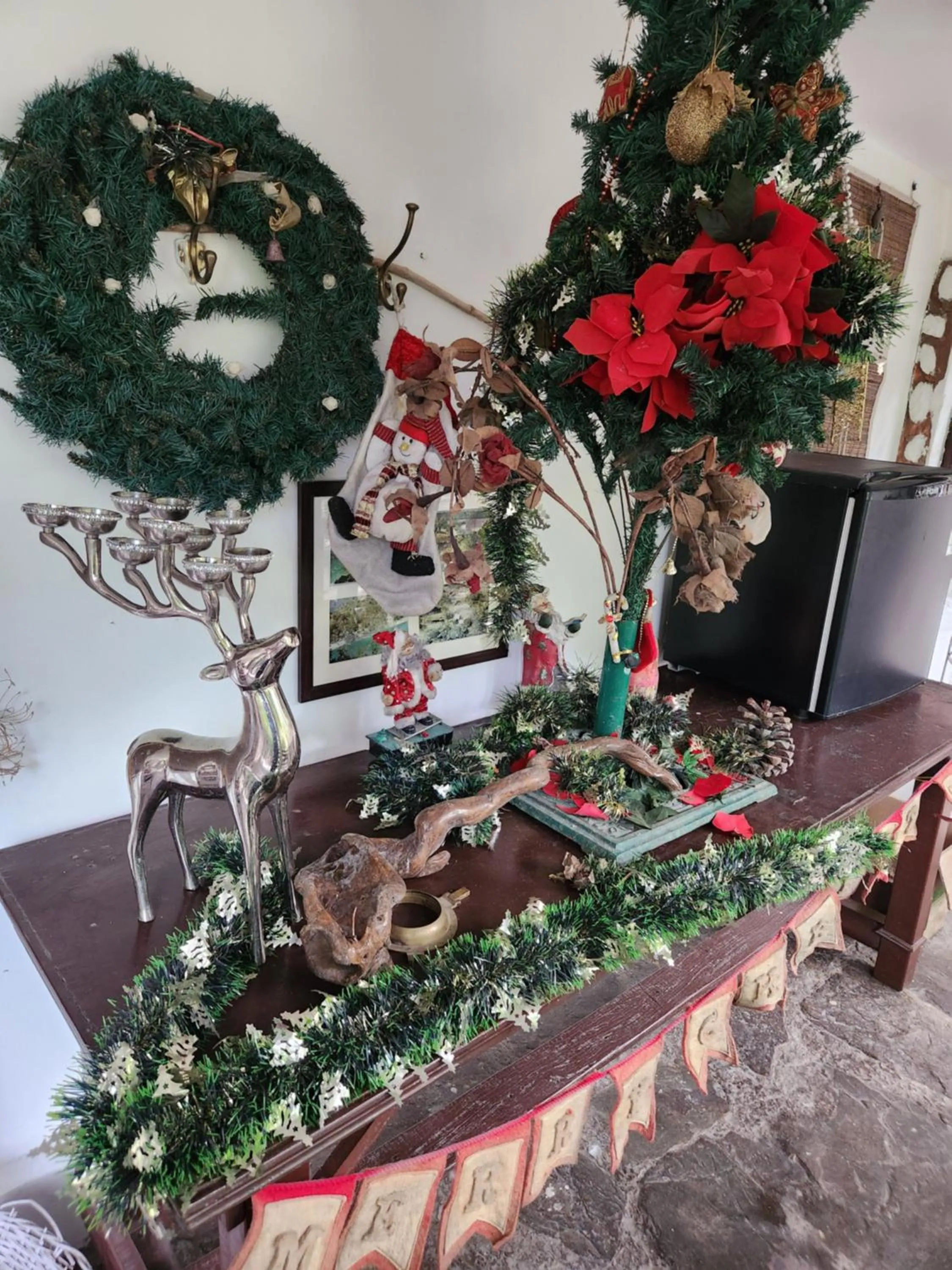 Samira's Birds & Butterflies Park-Spashram Ganga Beach Retreat