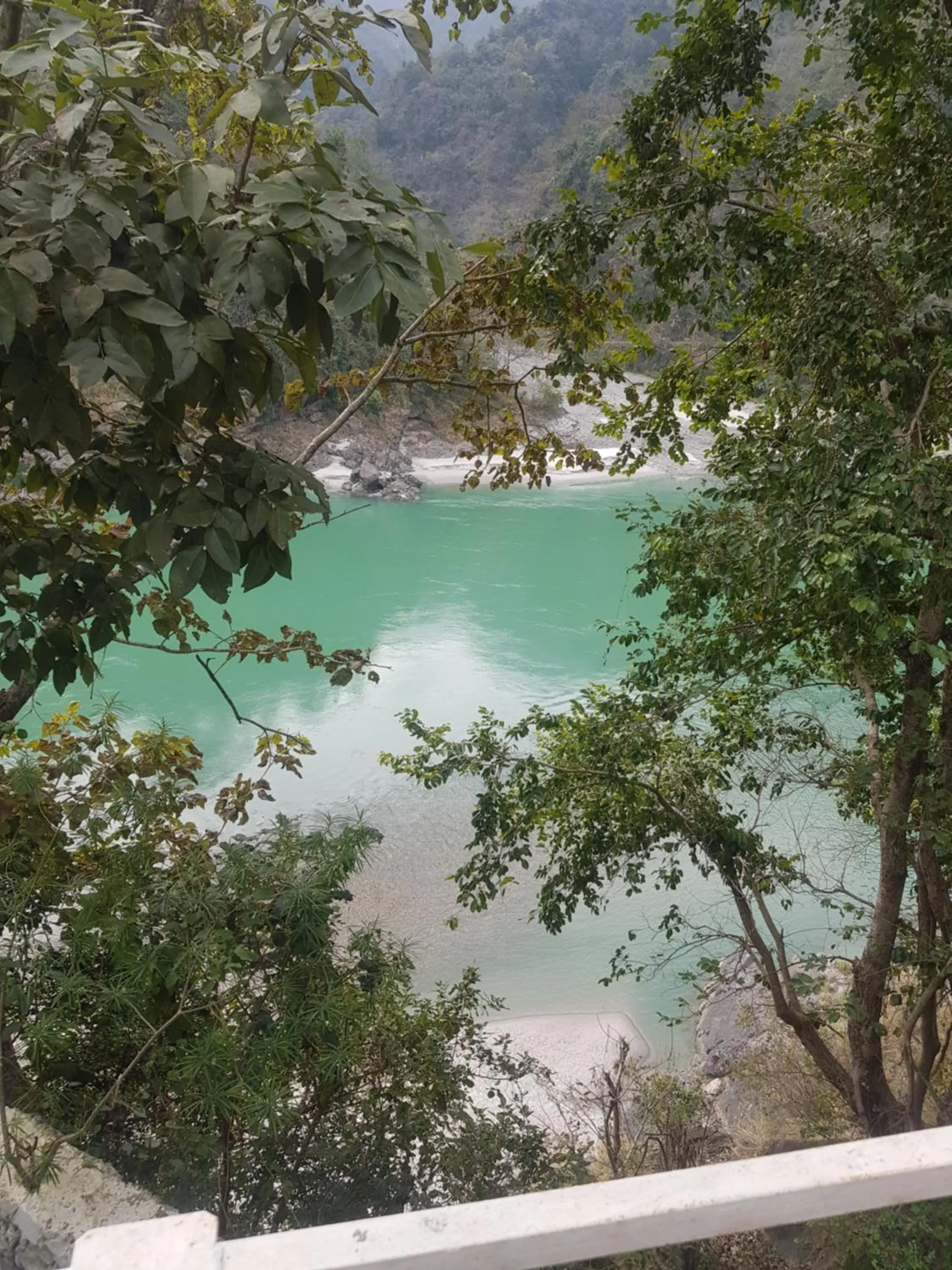 Natural landscape in Samira's Birds & Butterflies Park-Spashram Ganga Beach Retreat