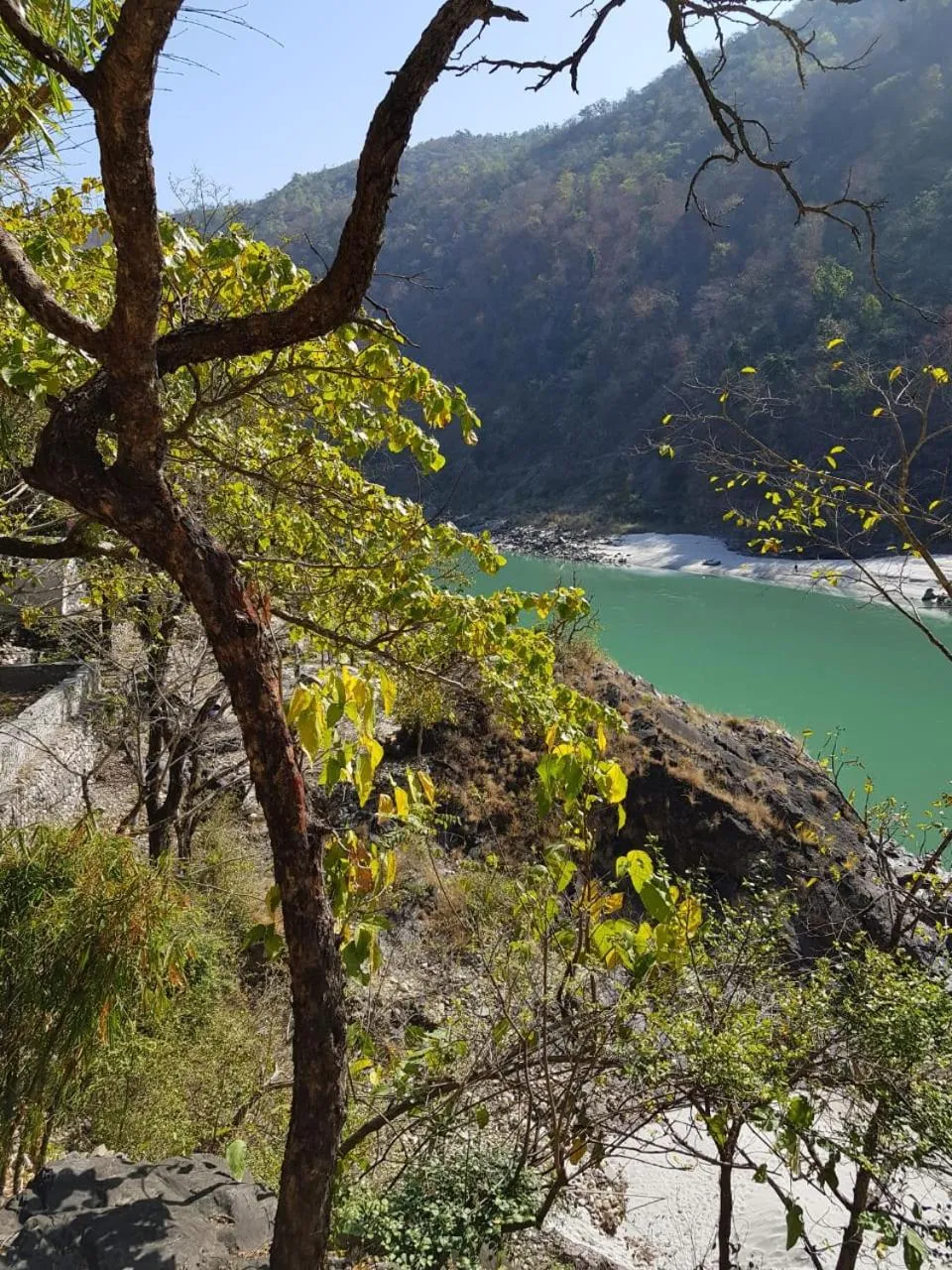 Natural landscape in Samira's Birds & Butterflies Park-Spashram Ganga Beach Retreat