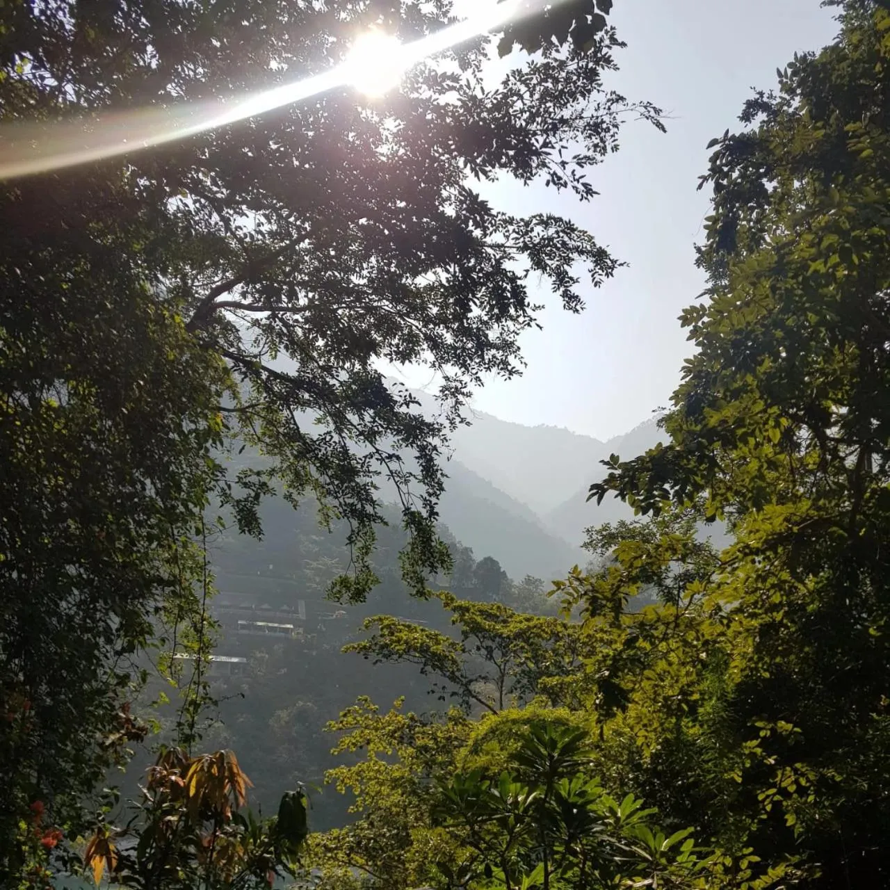 Mountain view in Samira's Birds & Butterflies Park-Spashram Ganga Beach Retreat