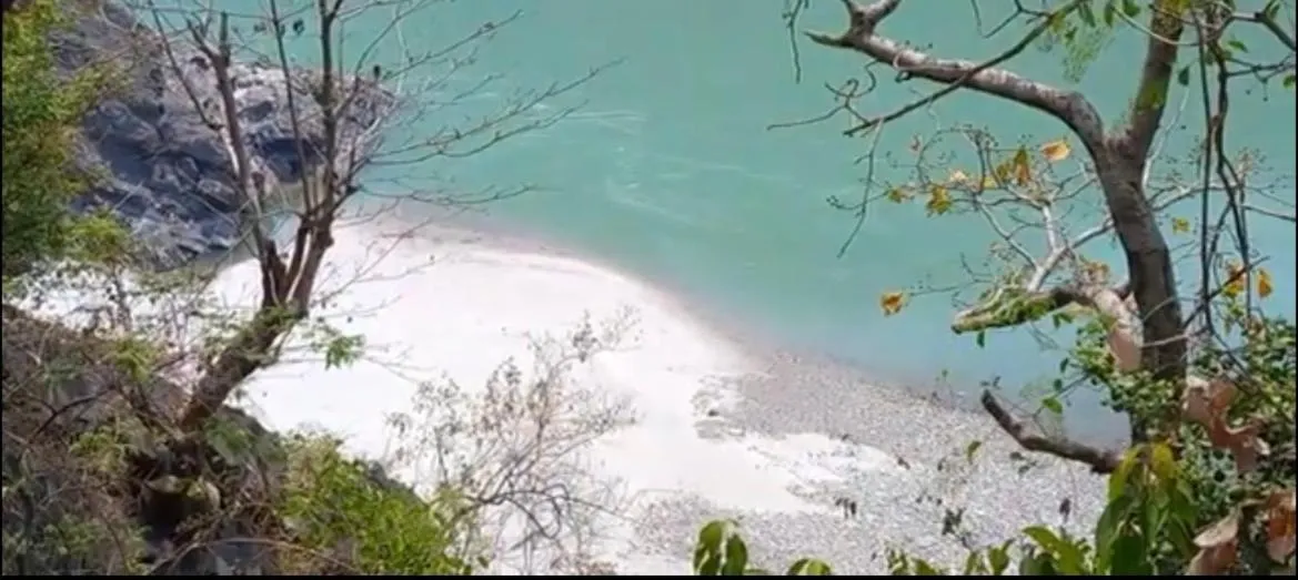 Samira's Birds & Butterflies Park-Spashram Ganga Beach Retreat