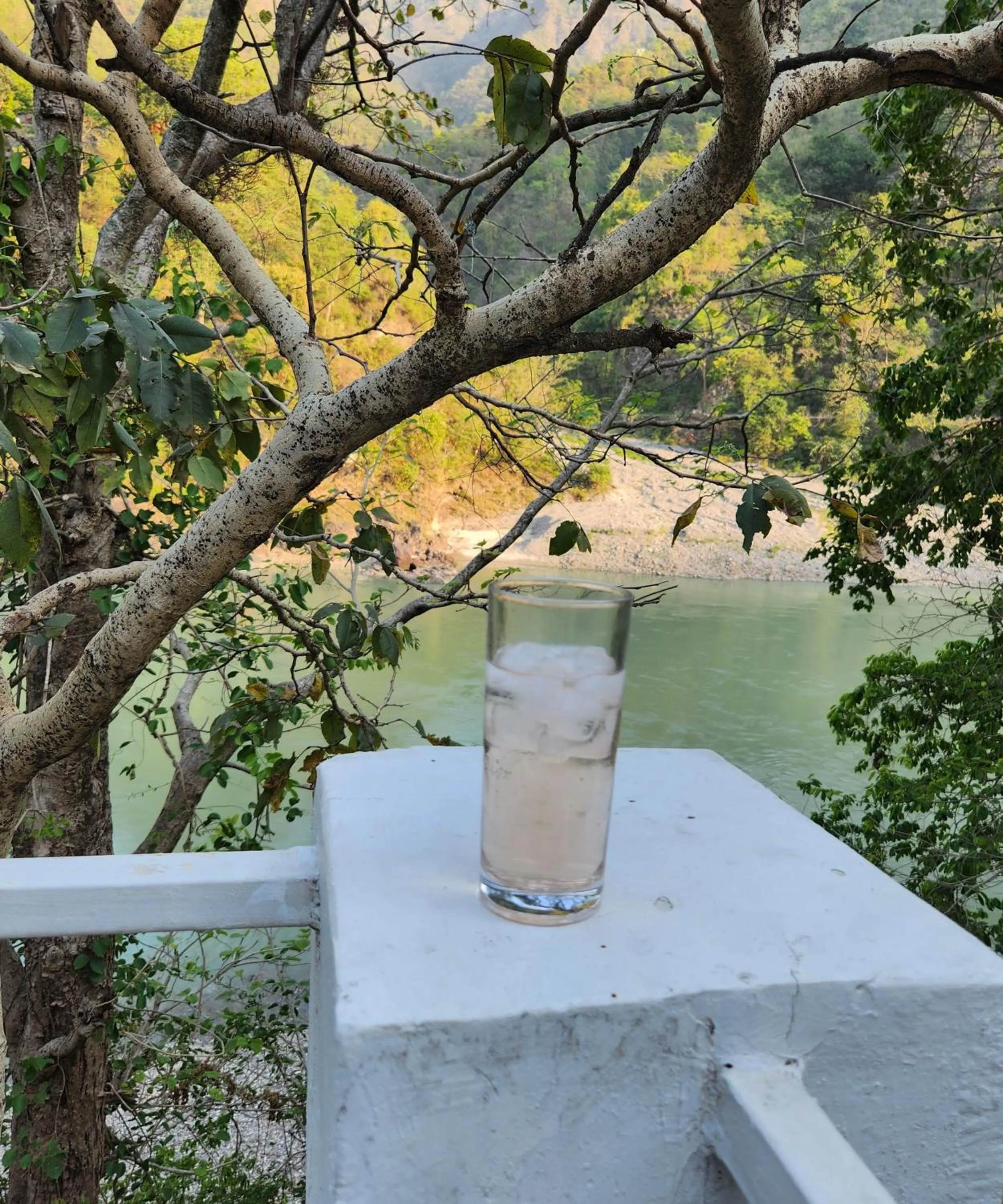 Samira's Birds & Butterflies Park-Spashram Ganga Beach Retreat