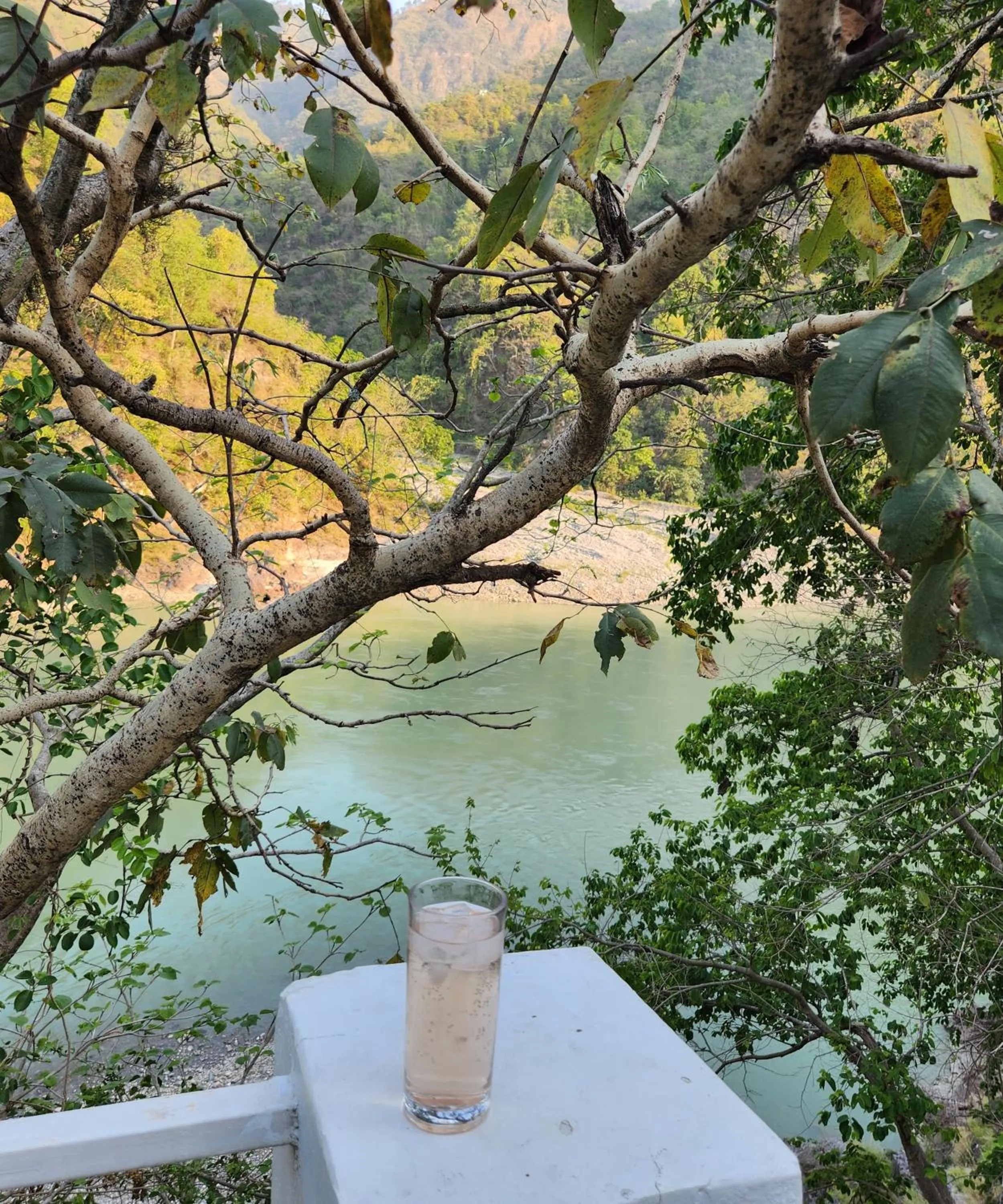 Samira's Birds & Butterflies Park-Spashram Ganga Beach Retreat