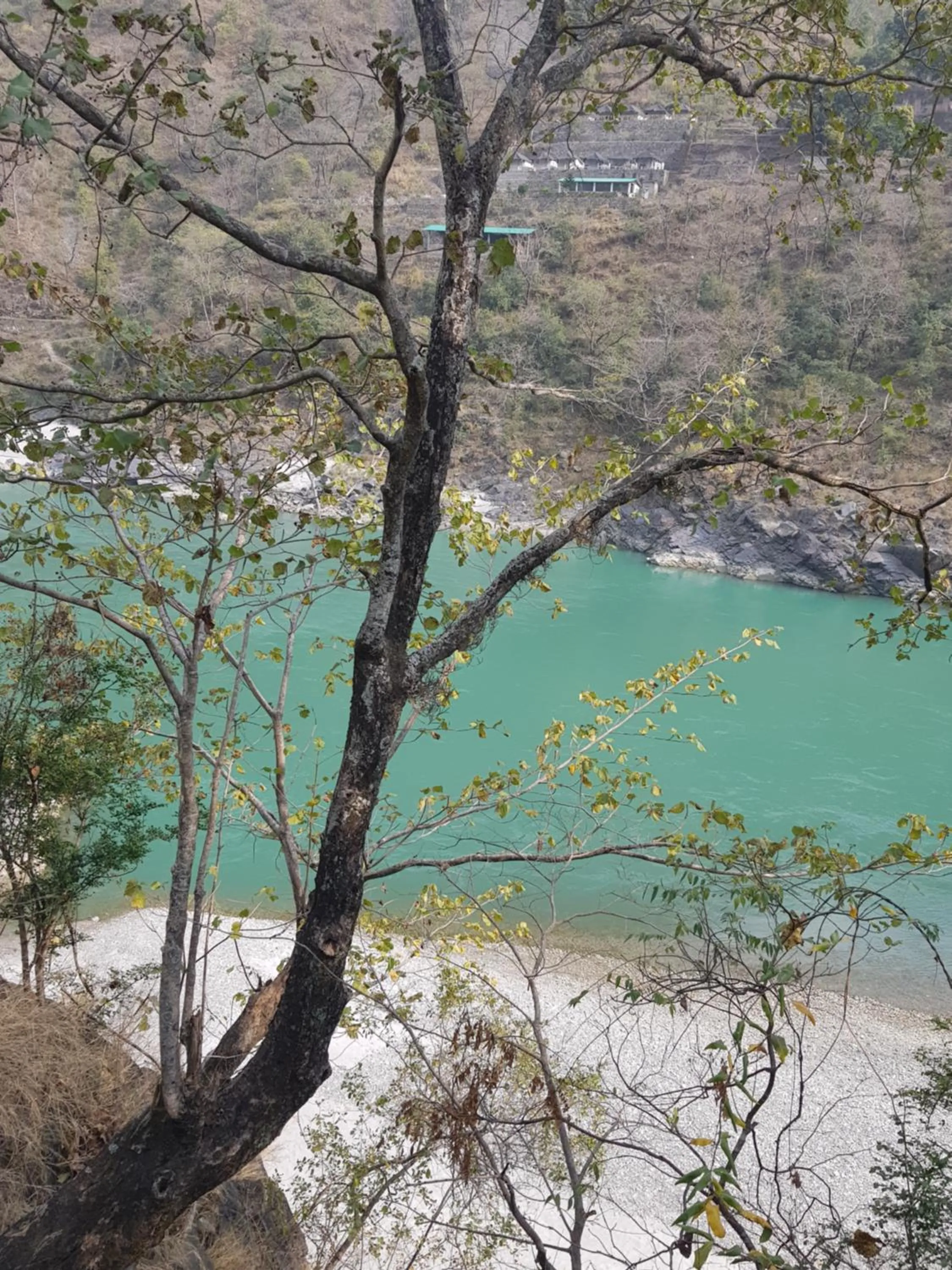 Natural landscape in Samira's Birds & Butterflies Park-Spashram Ganga Beach Retreat