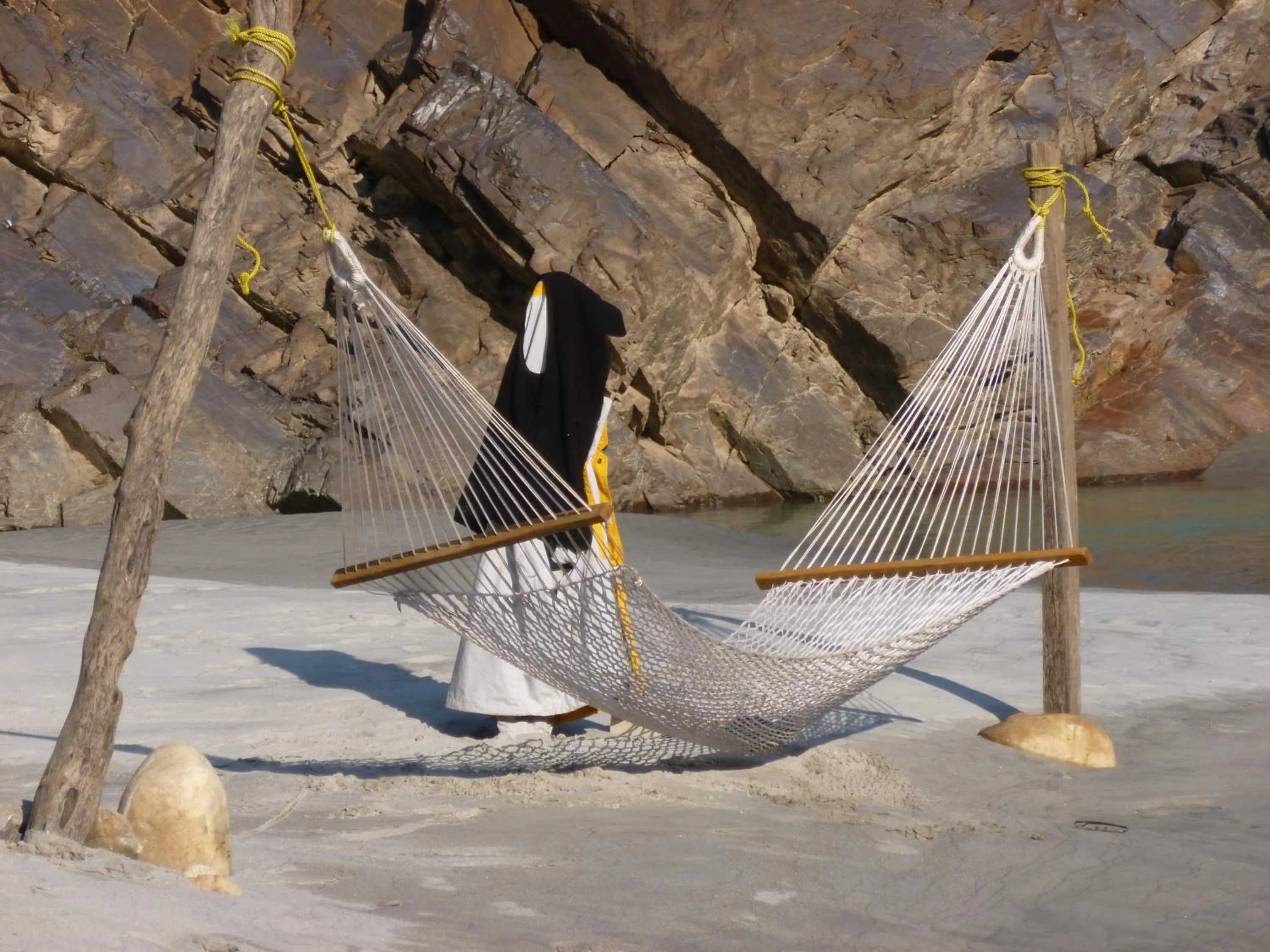 Natural landscape in Samira's Birds & Butterflies Park-Spashram Ganga Beach Retreat