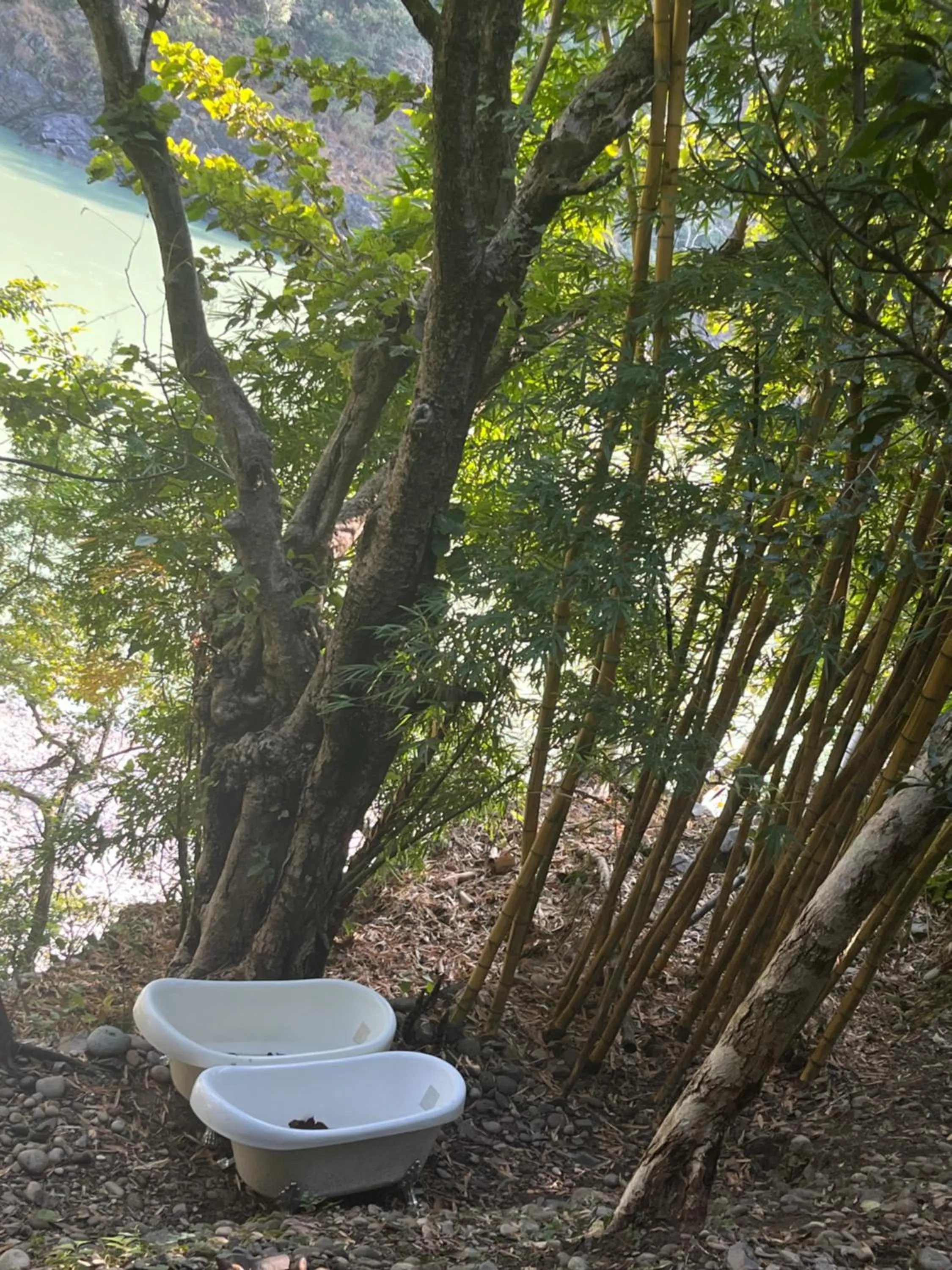 Samira's Birds & Butterflies Park-Spashram Ganga Beach Retreat