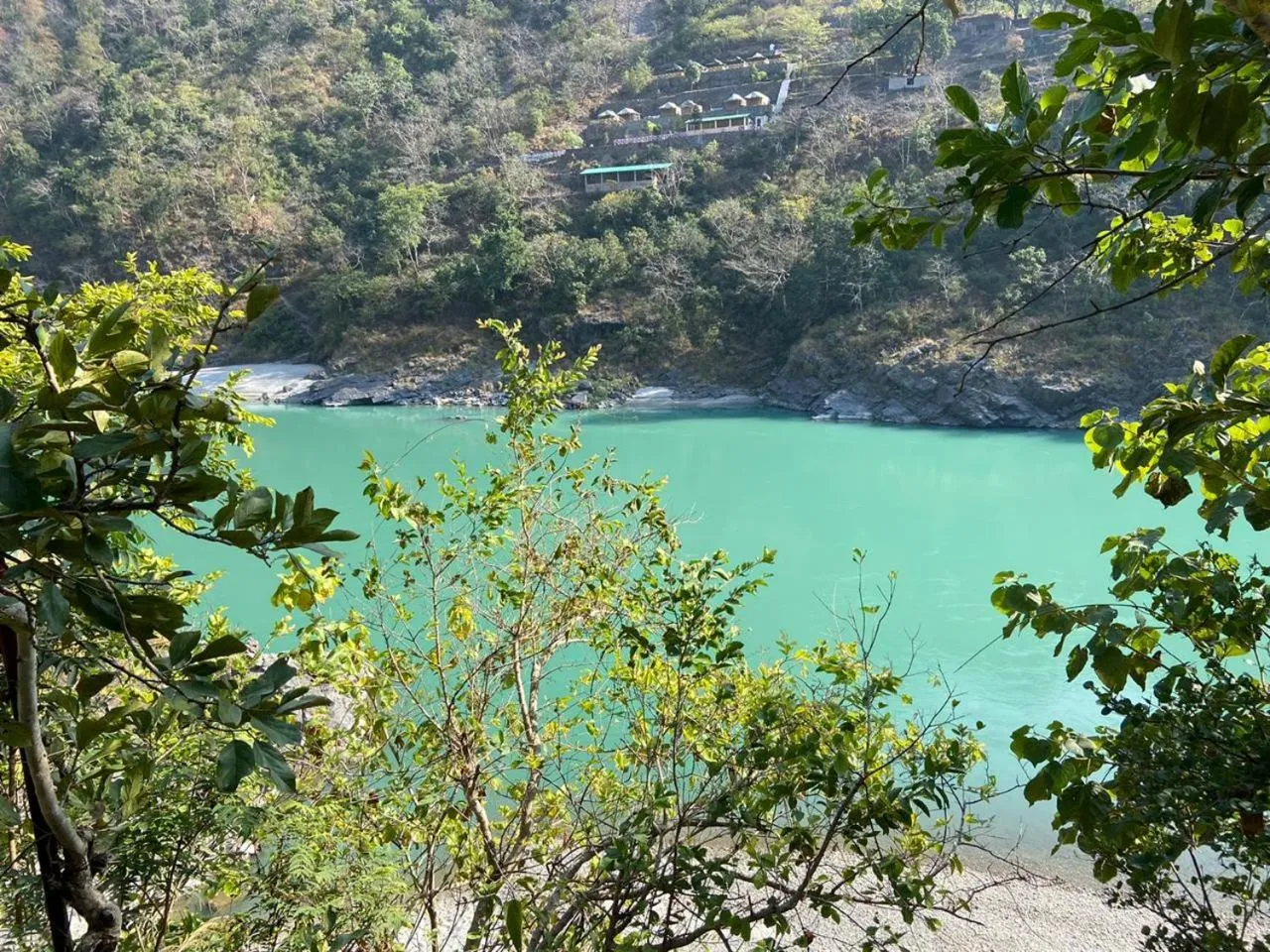 Natural landscape in Samira's Birds & Butterflies Park-Spashram Ganga Beach Retreat