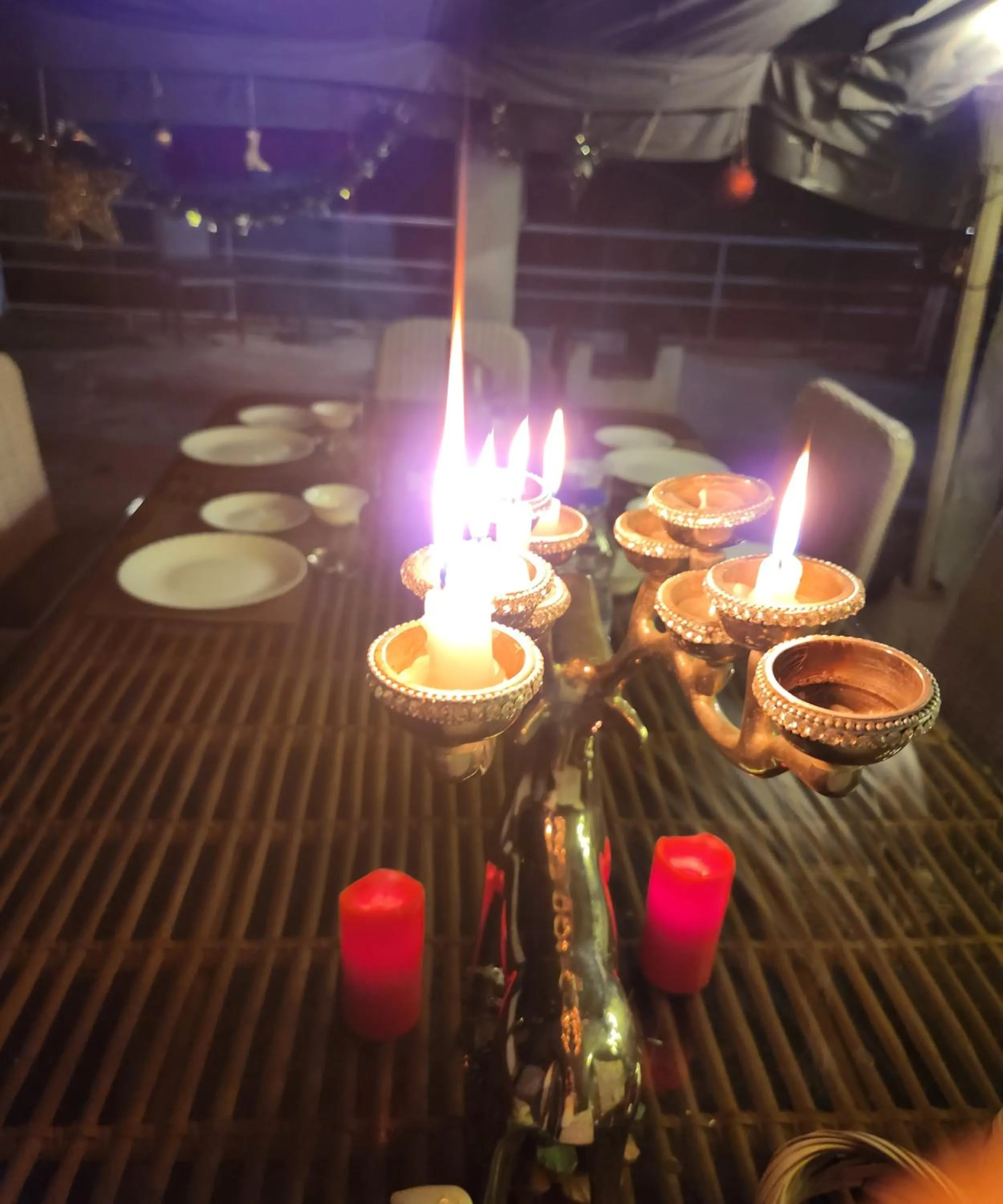 Samira's Birds & Butterflies Park-Spashram Ganga Beach Retreat