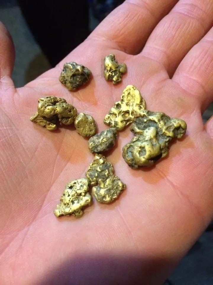 Activities in talkeetna villas and tours