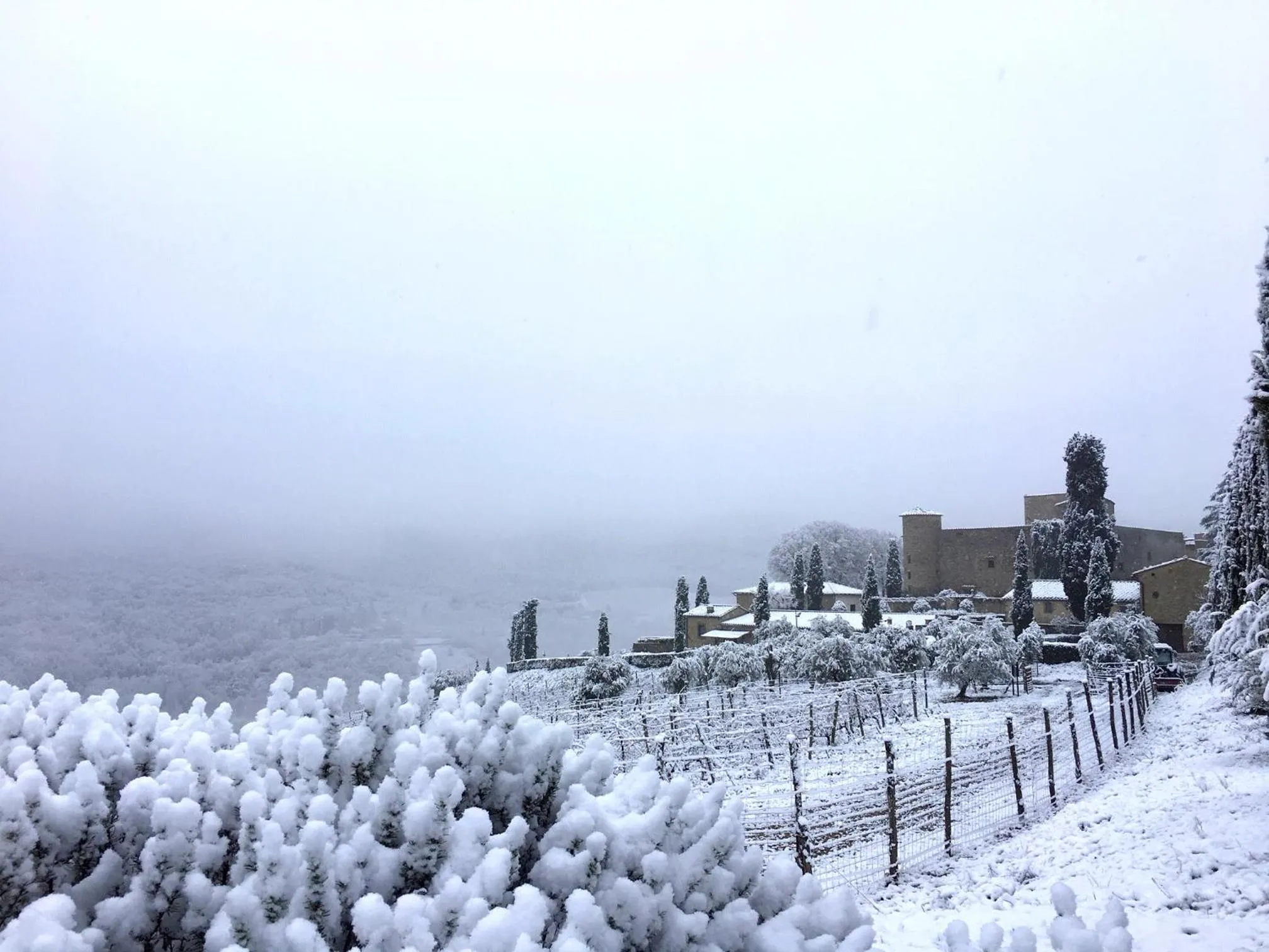 Facade/entrance in Castello Di Meleto