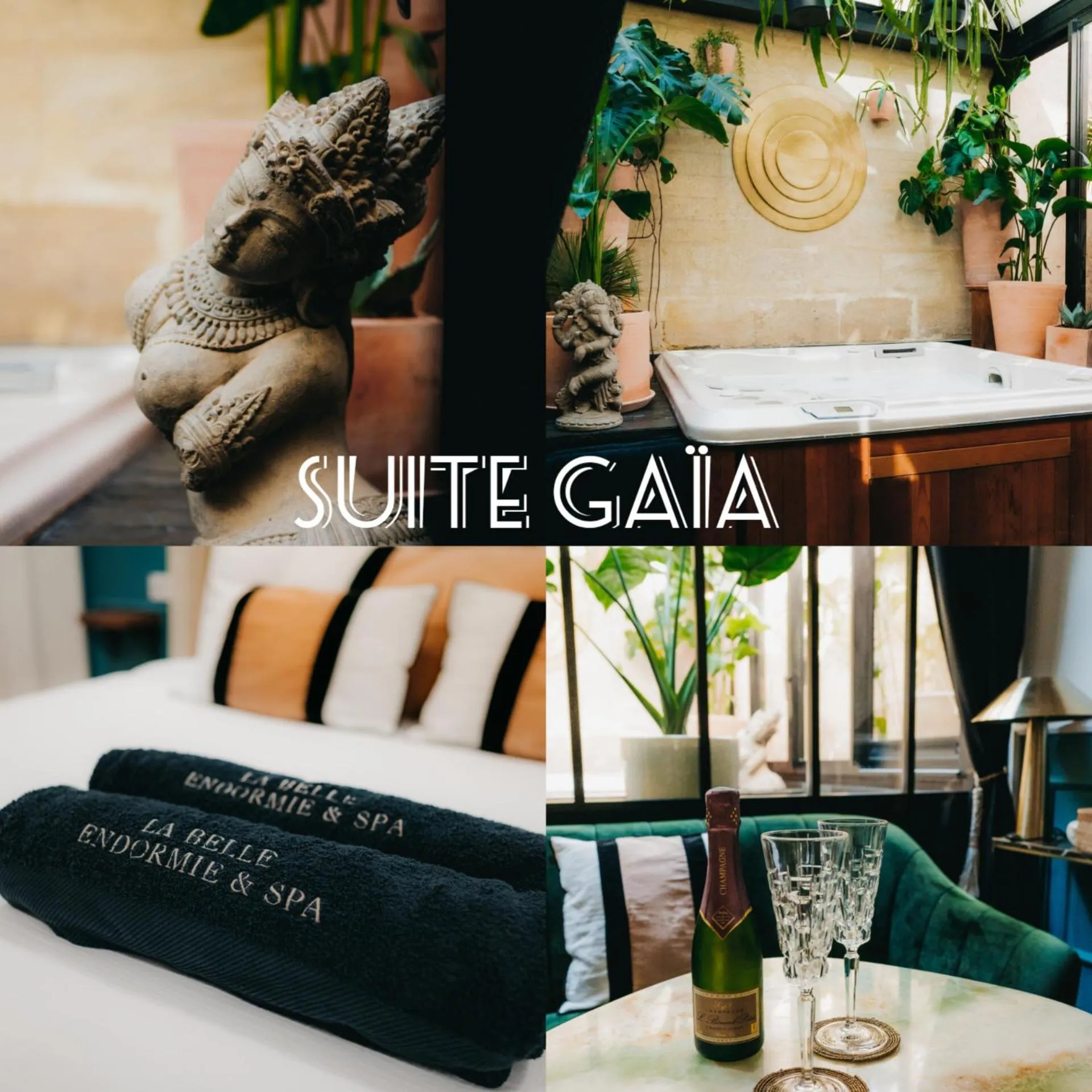 Photo of the whole room in La Belle Endormie B&B French Guest house