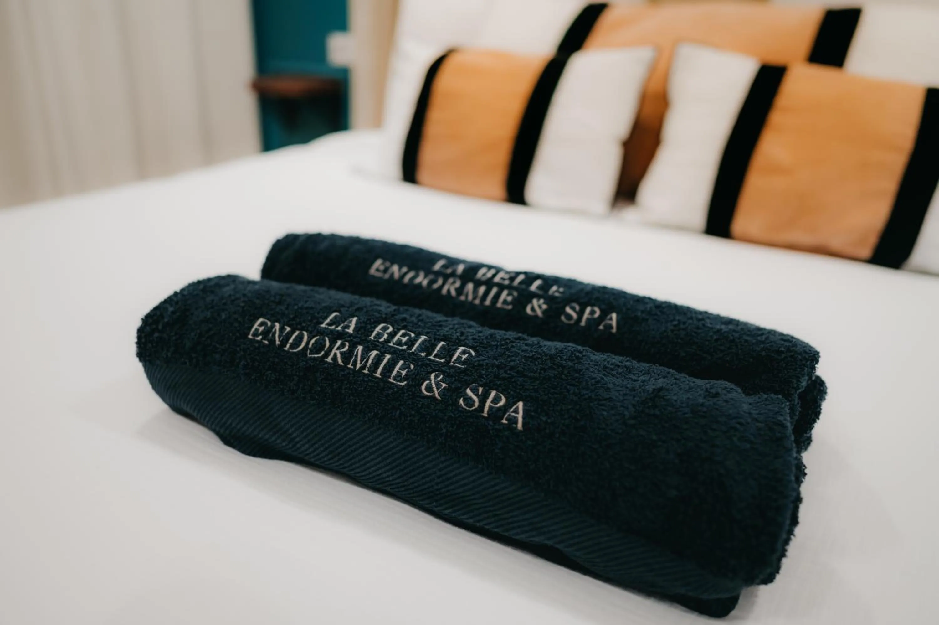 Bed in La Belle Endormie B&B French Guest house