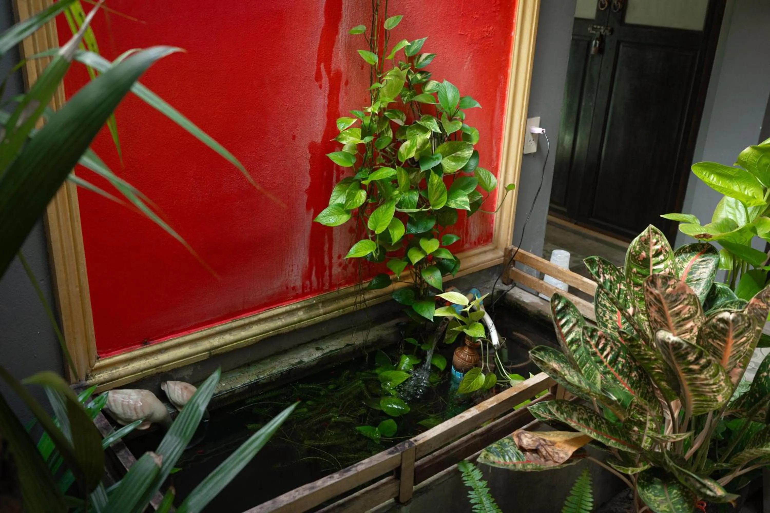 Garden in Baan Paea Guest House