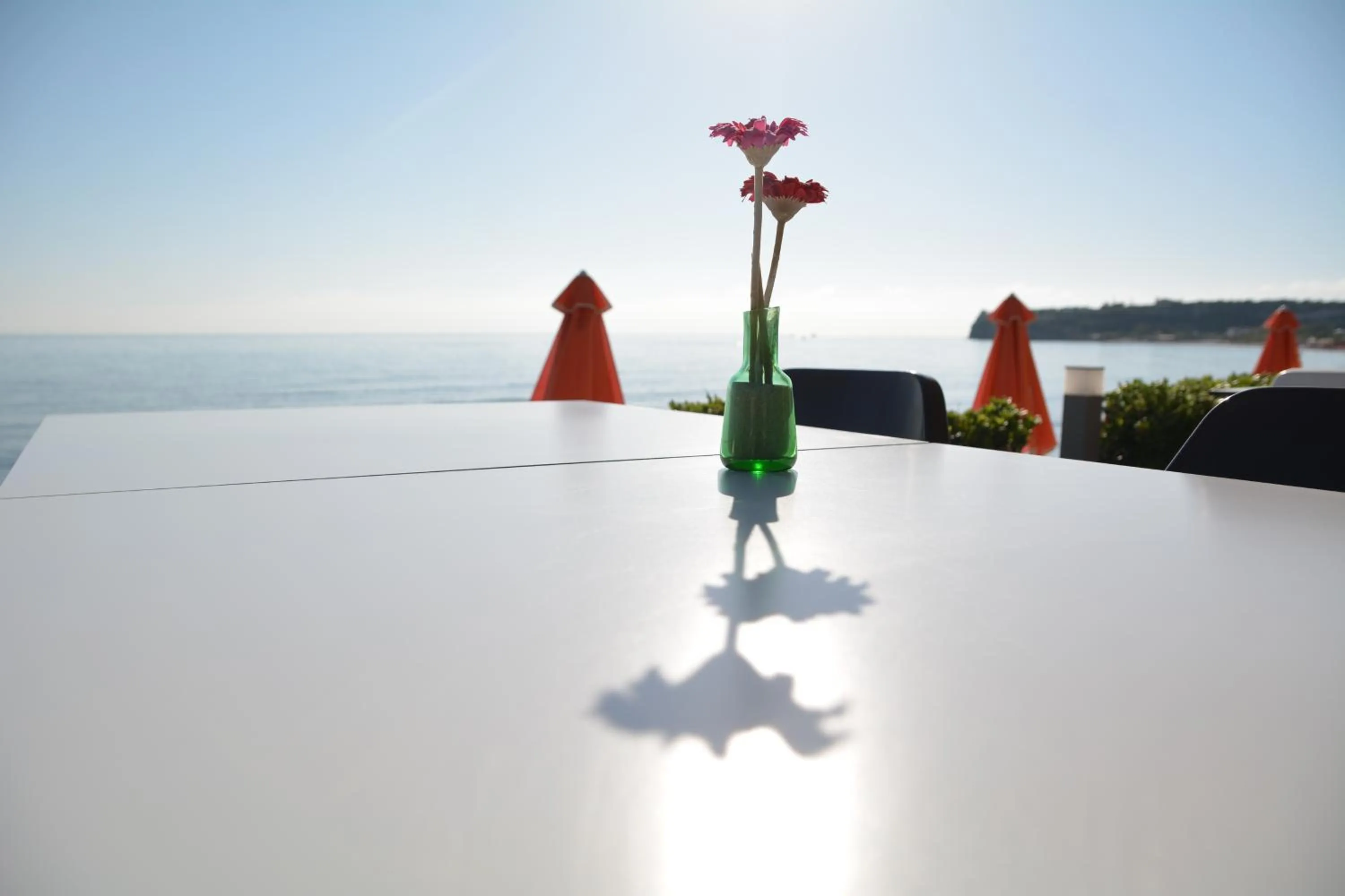 Restaurant/places to eat in Al Mare Hotel