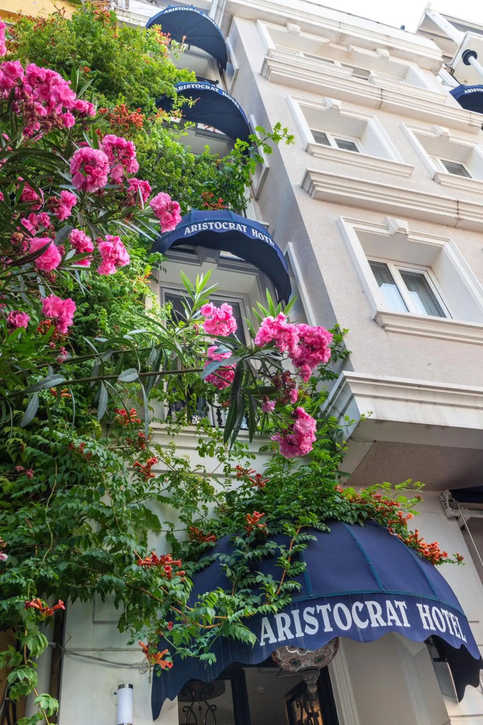 Property building in Aristocrat Hotel Property building in Aristocrat Hotel