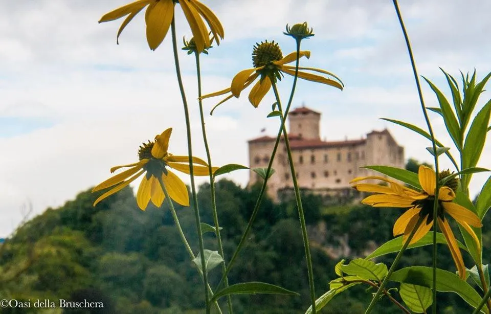 Nearby landmark in B&B Relais Cascina al Campaccio