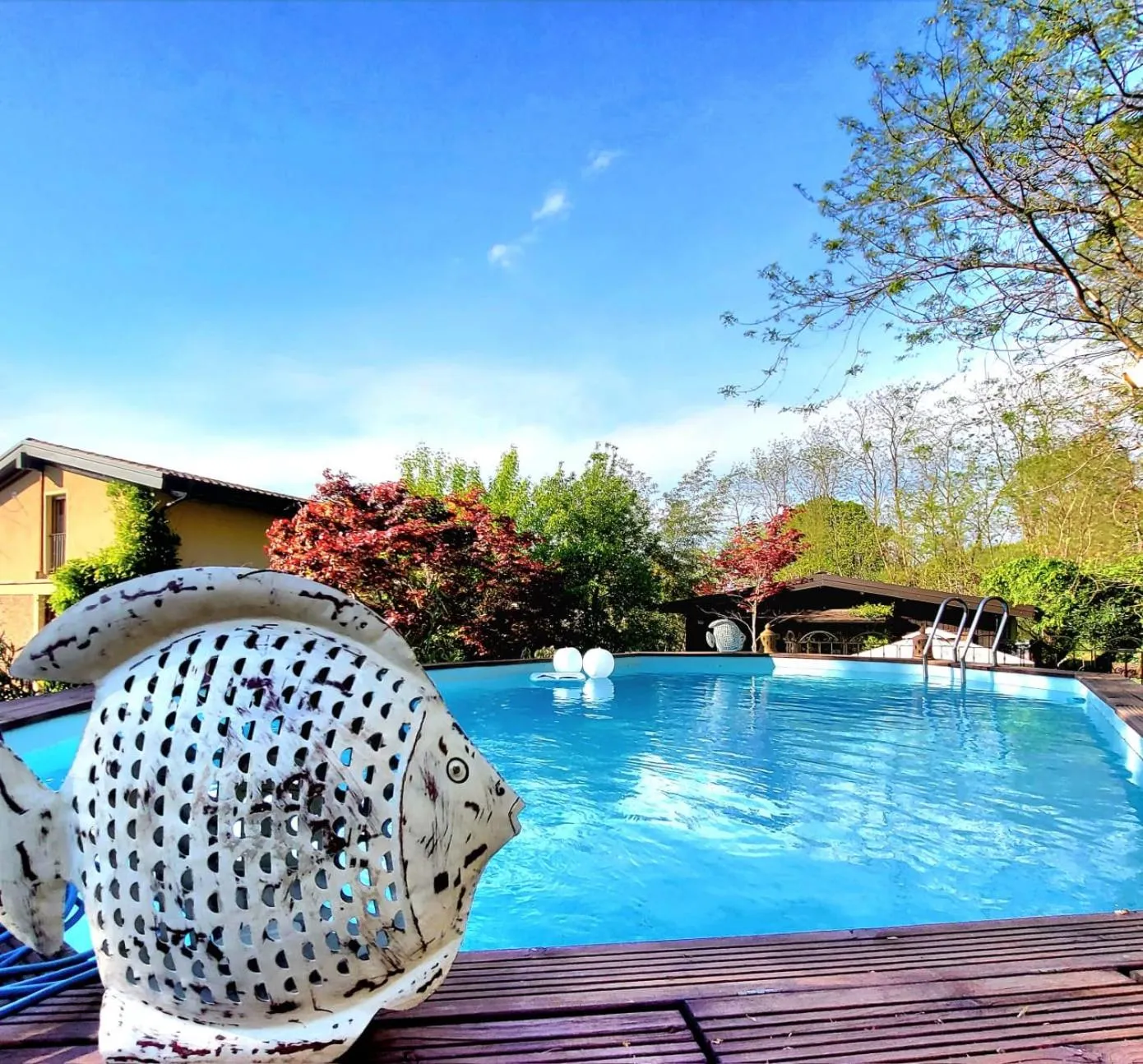 Swimming pool in B&B Relais Cascina al Campaccio