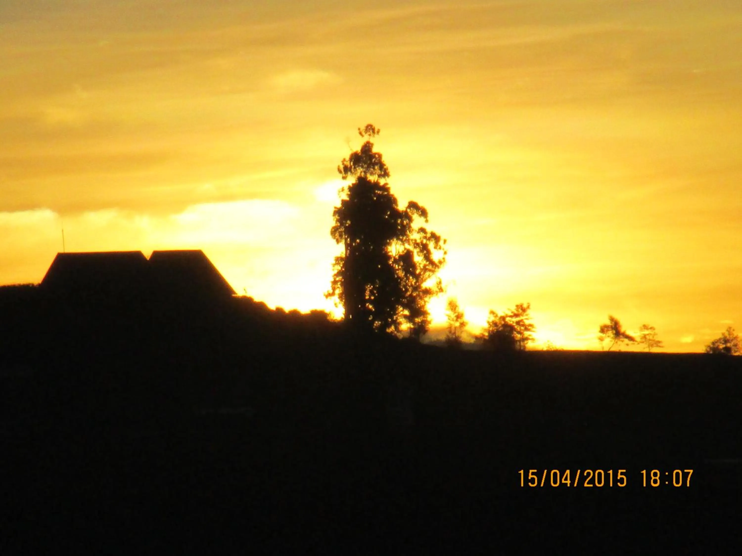 Garden in Green Herbal Ayurvedic Eco-Lodge
