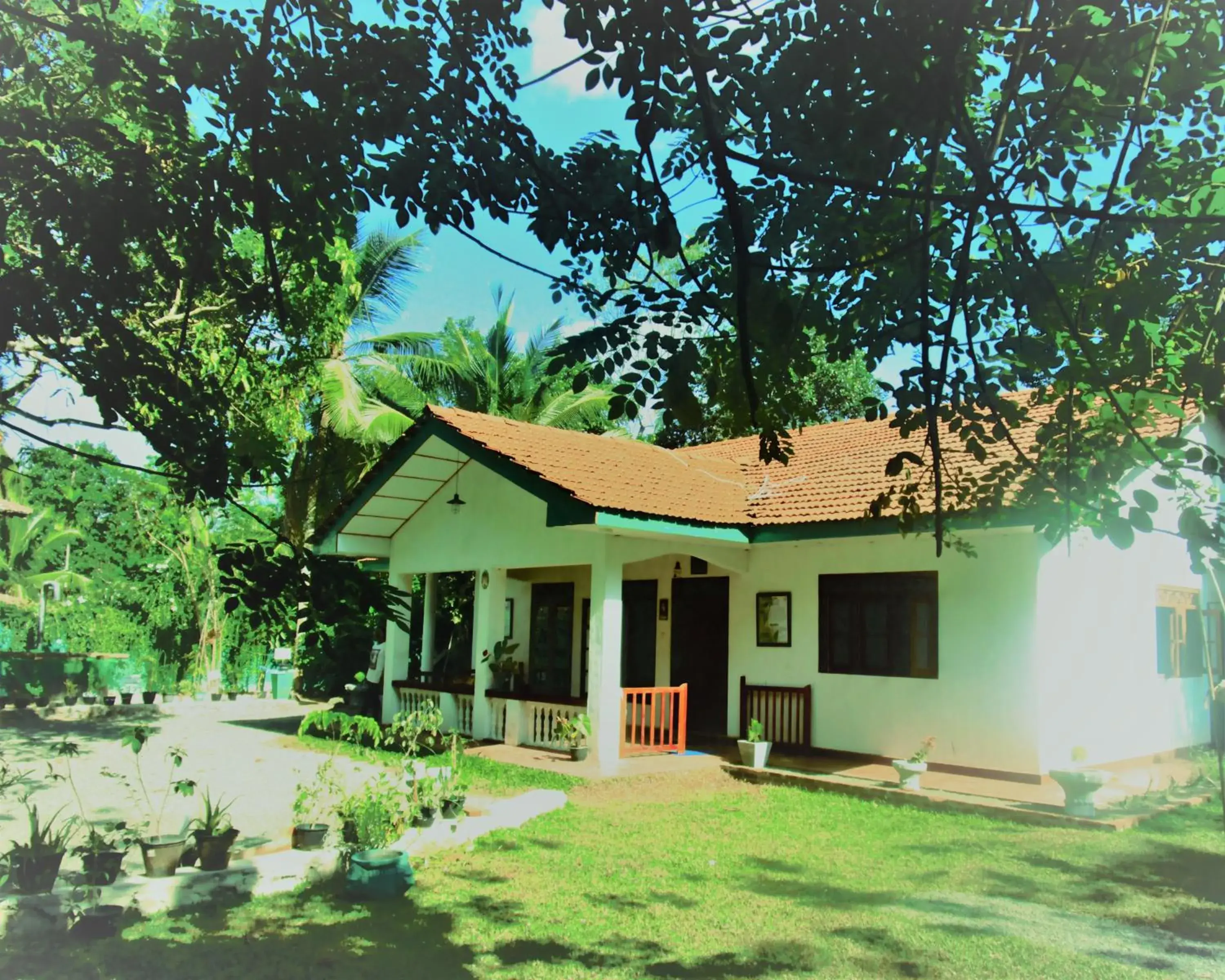Deluxe Bungalow with Garden View in Green Herbal Ayurvedic Eco-Lodge Deluxe Bungalow with Garden View in Green Herbal Ayurvedic Eco-Lodge