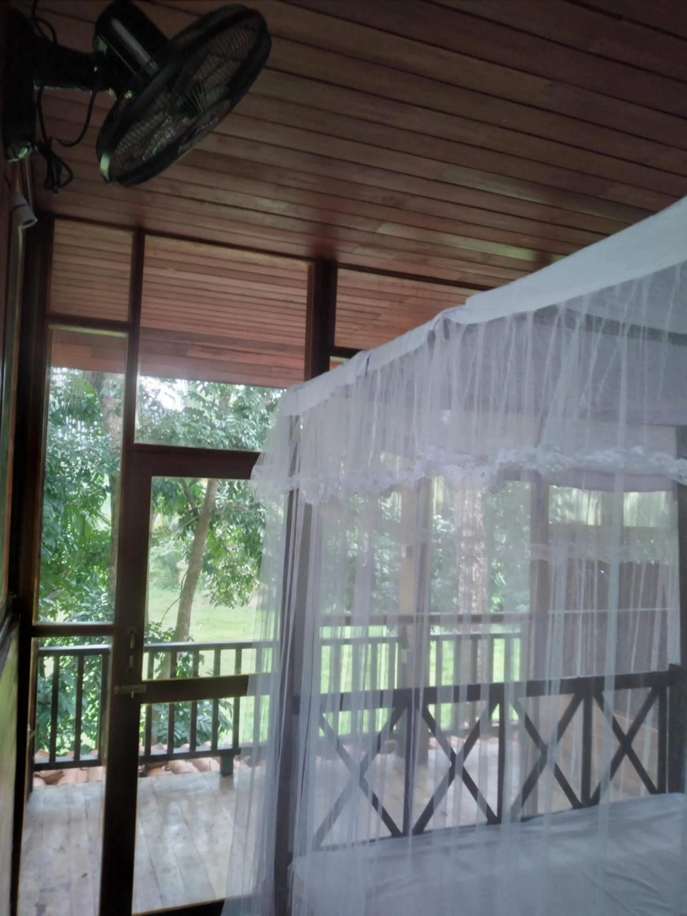 View (from property/room) in Green Herbal Ayurvedic Eco-Lodge