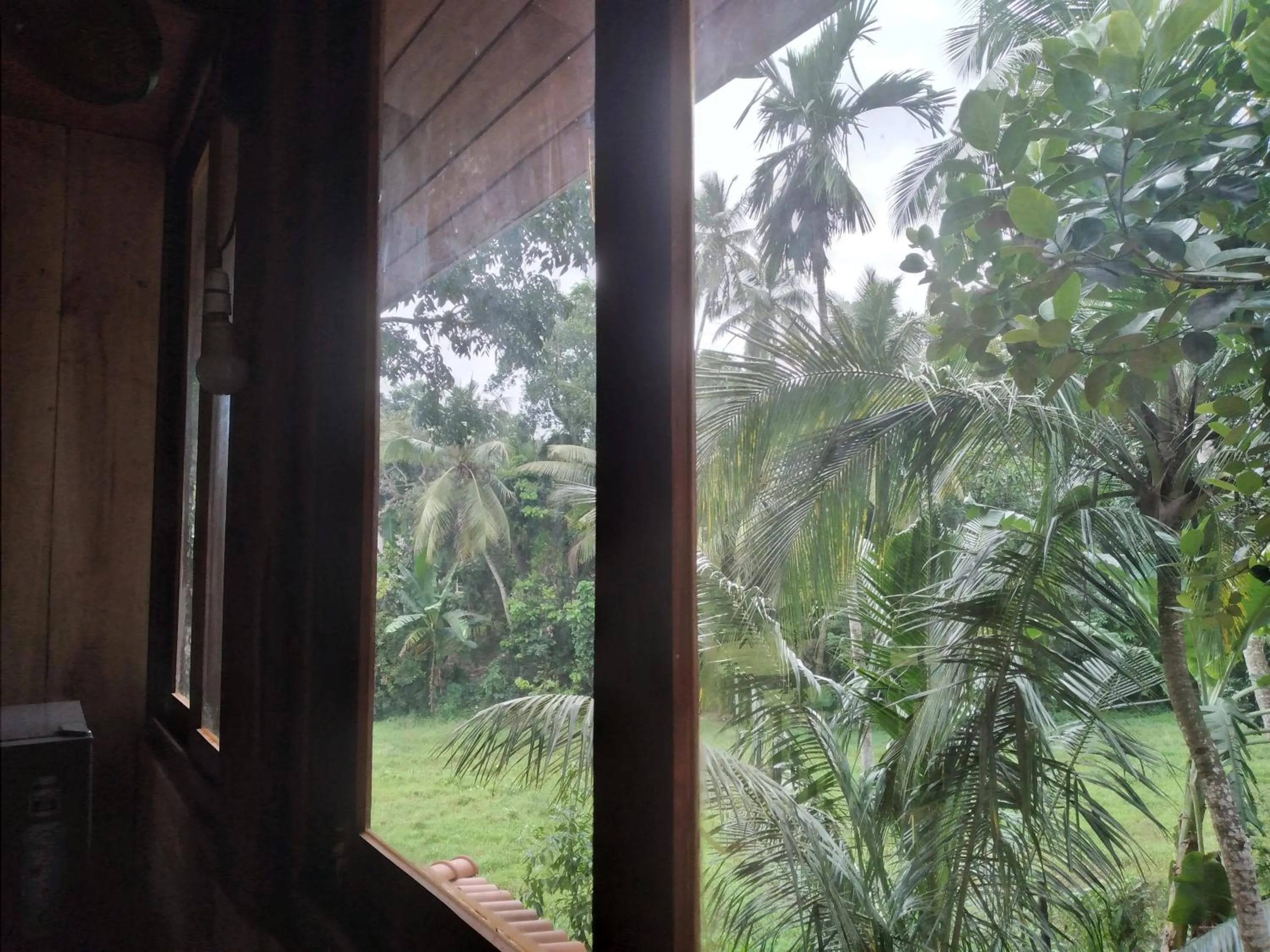 Garden view in Green Herbal Ayurvedic Eco-Lodge