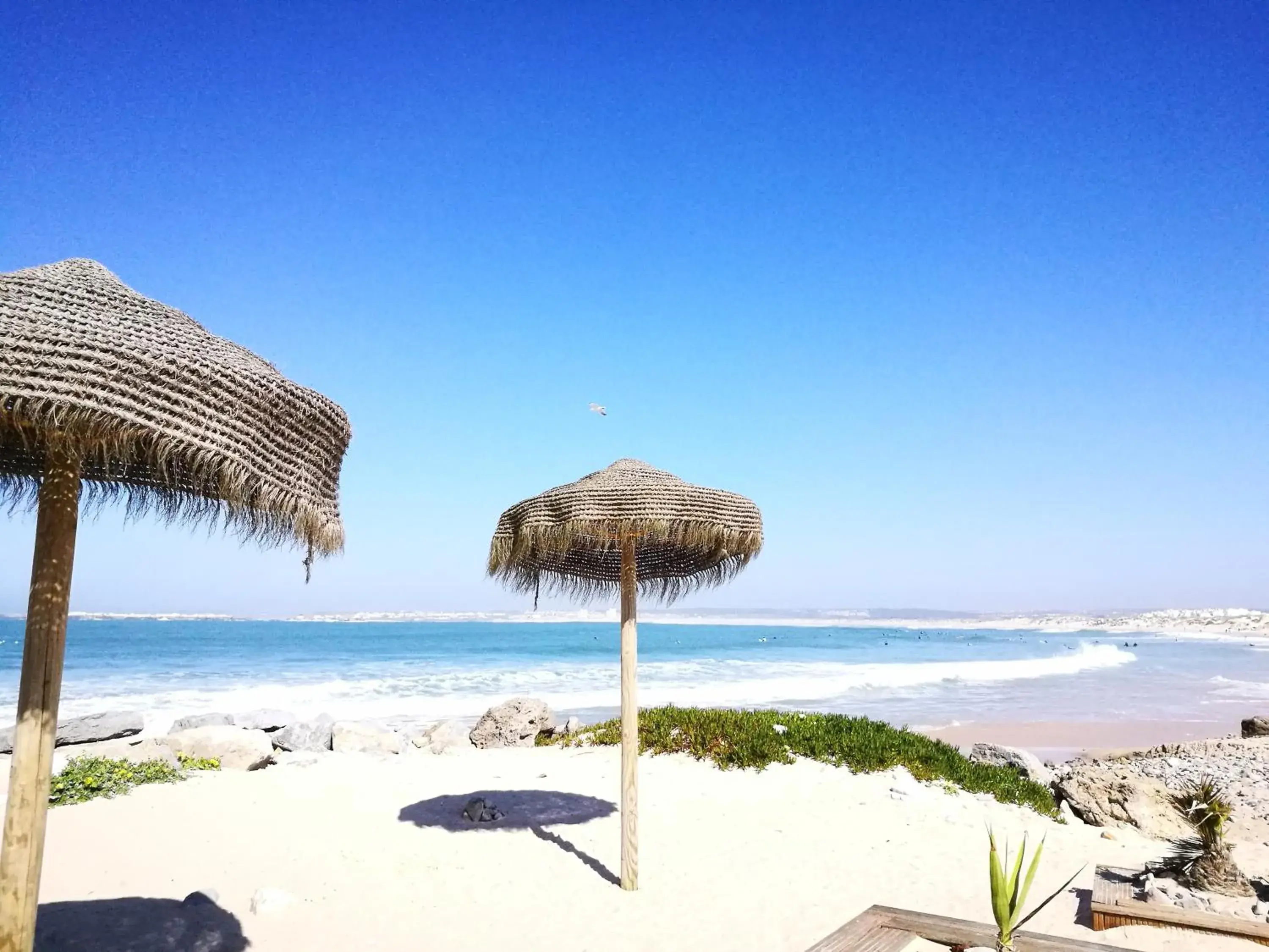 Peniche's Blue & White Peniche's Blue & White