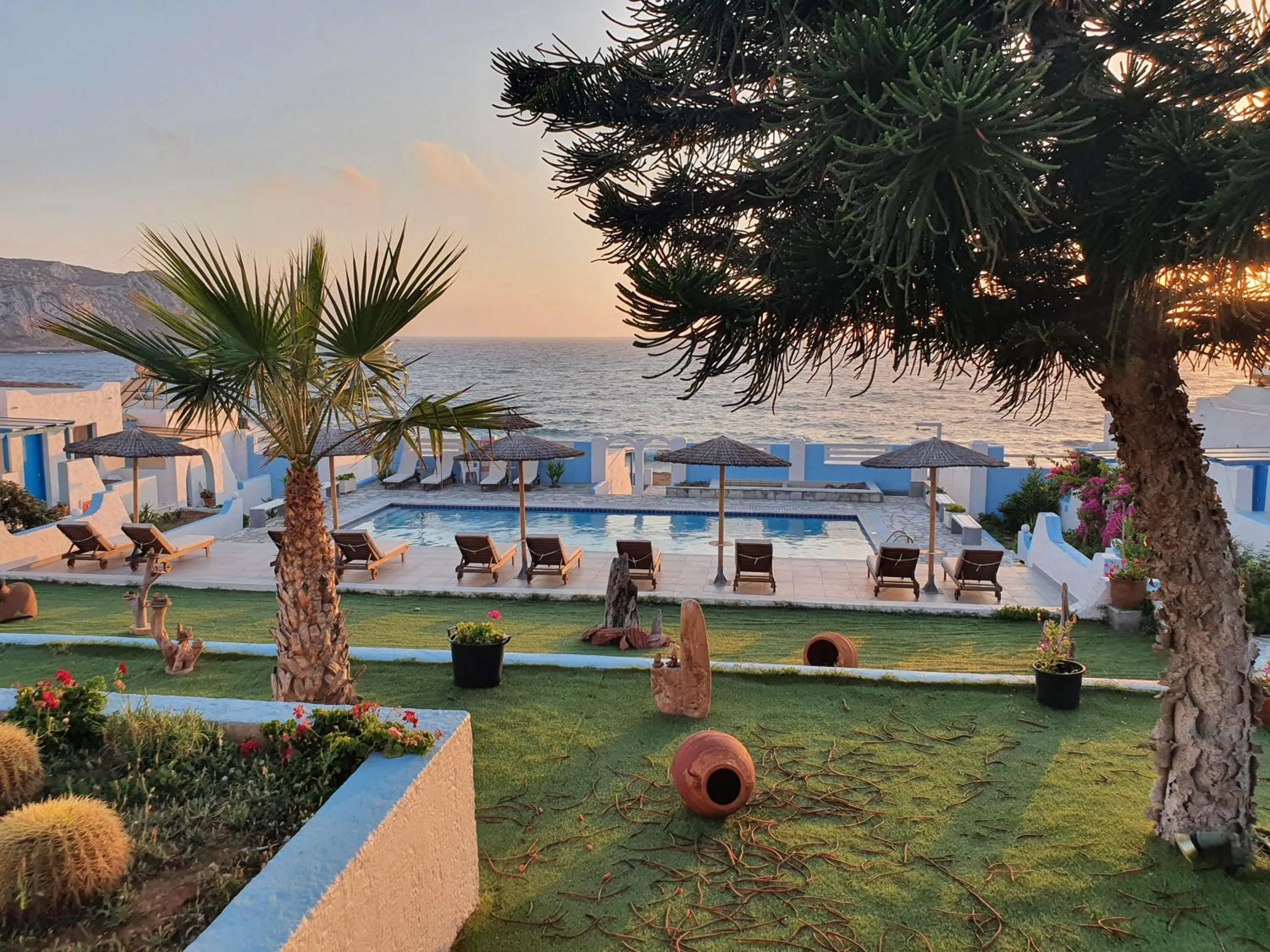 Garden in Elenis Studios