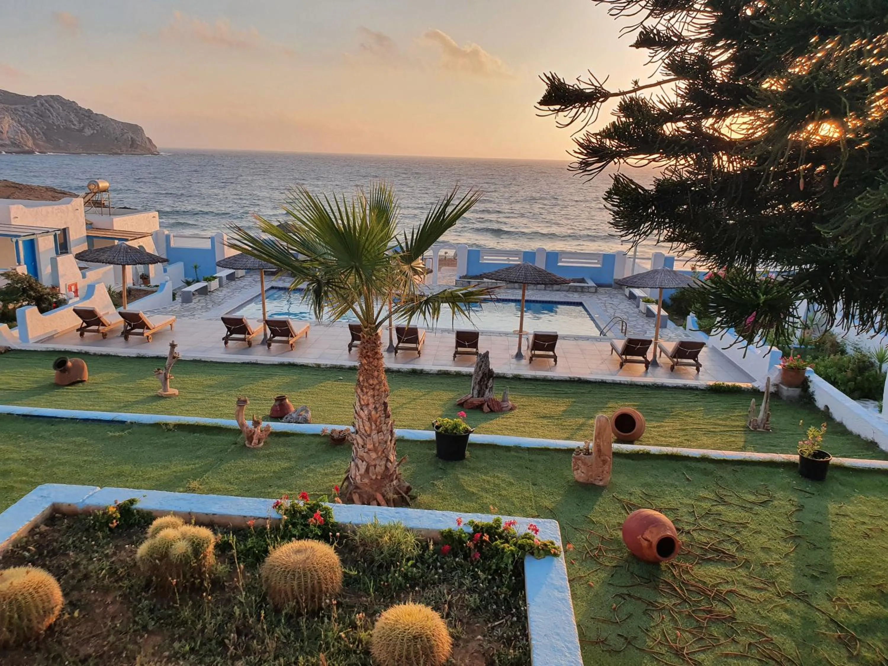 Garden in Elenis Studios