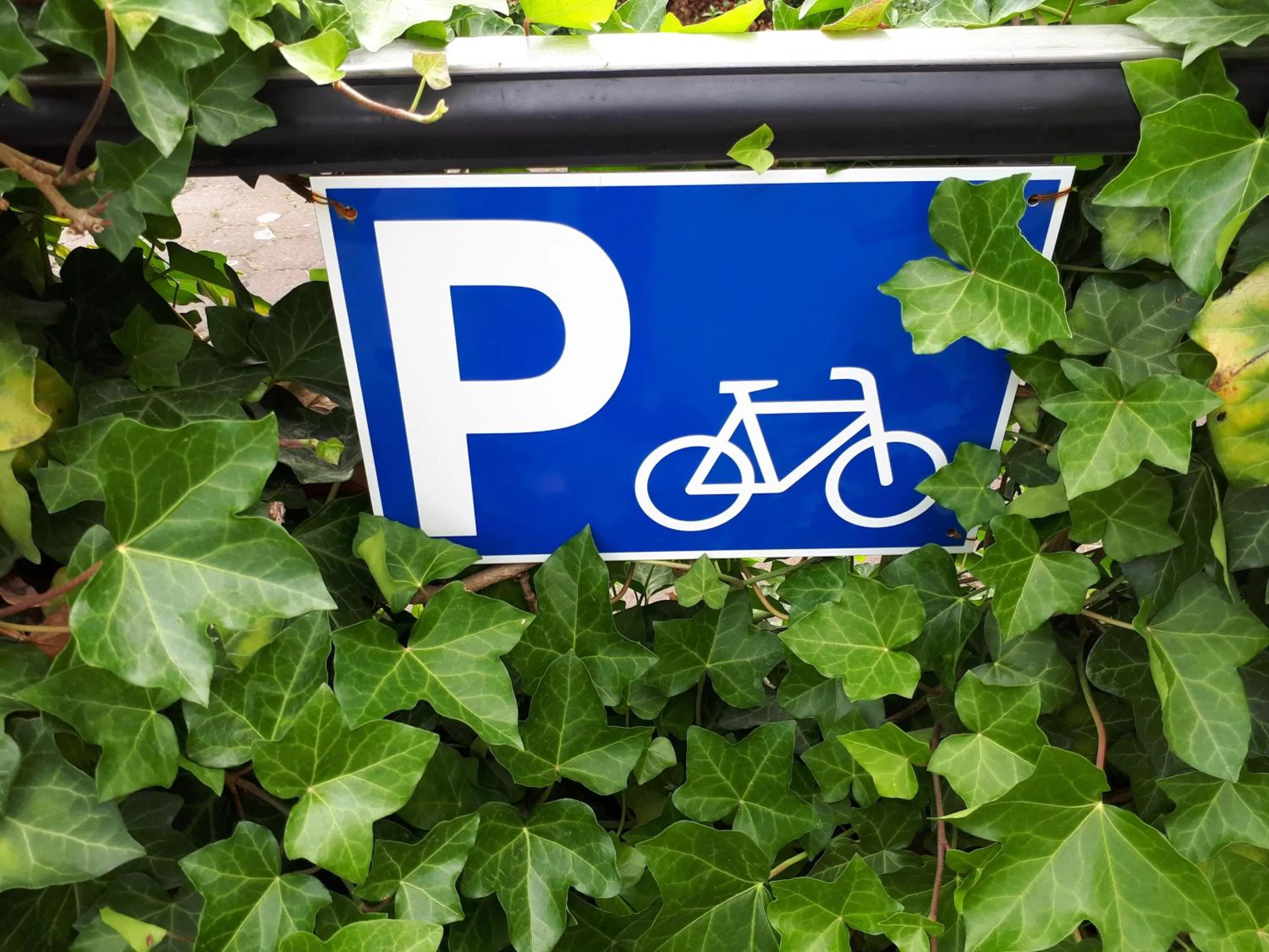 Cycling in Hotel KAUP