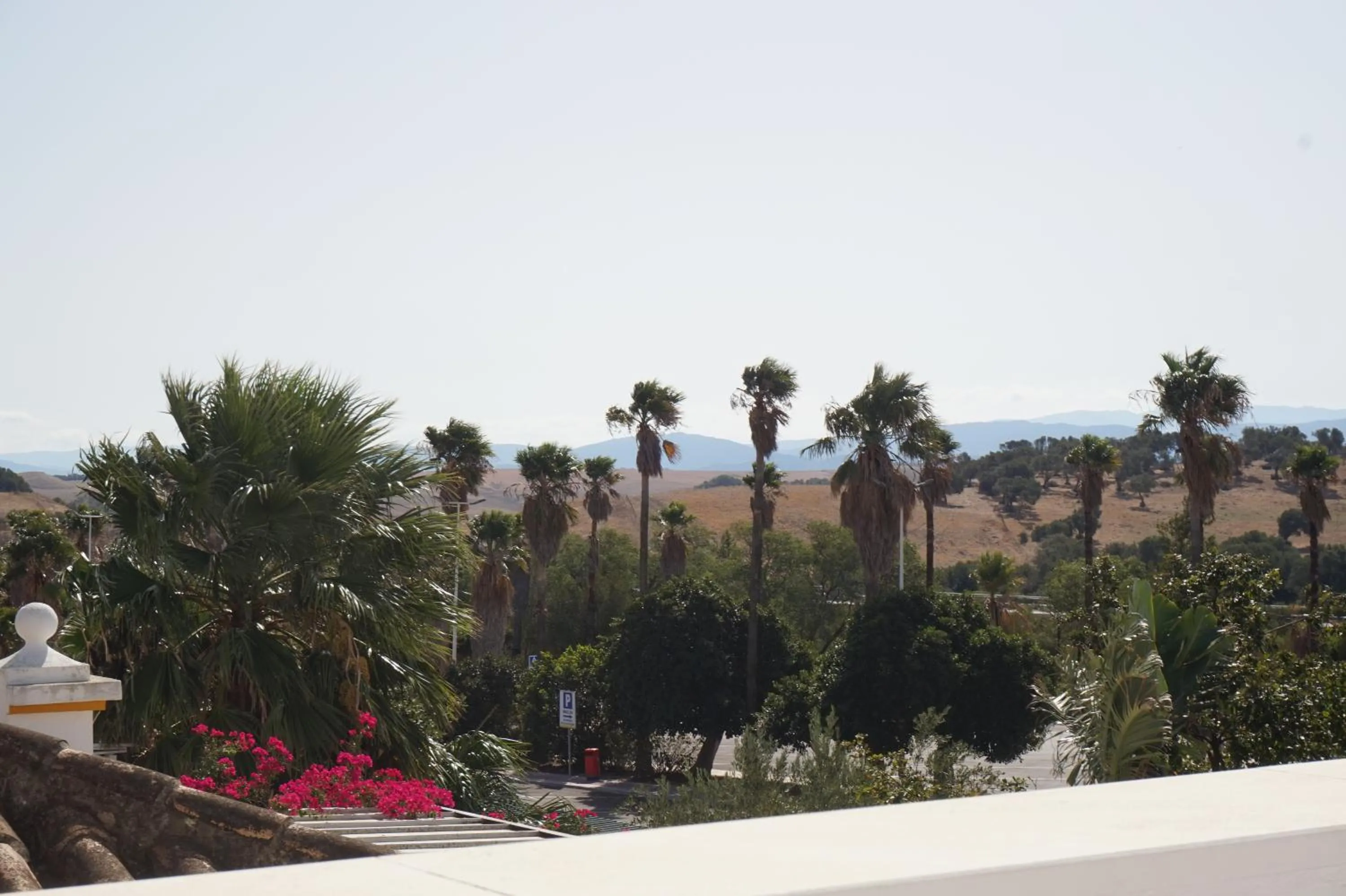 Mountain view in La Palmosa