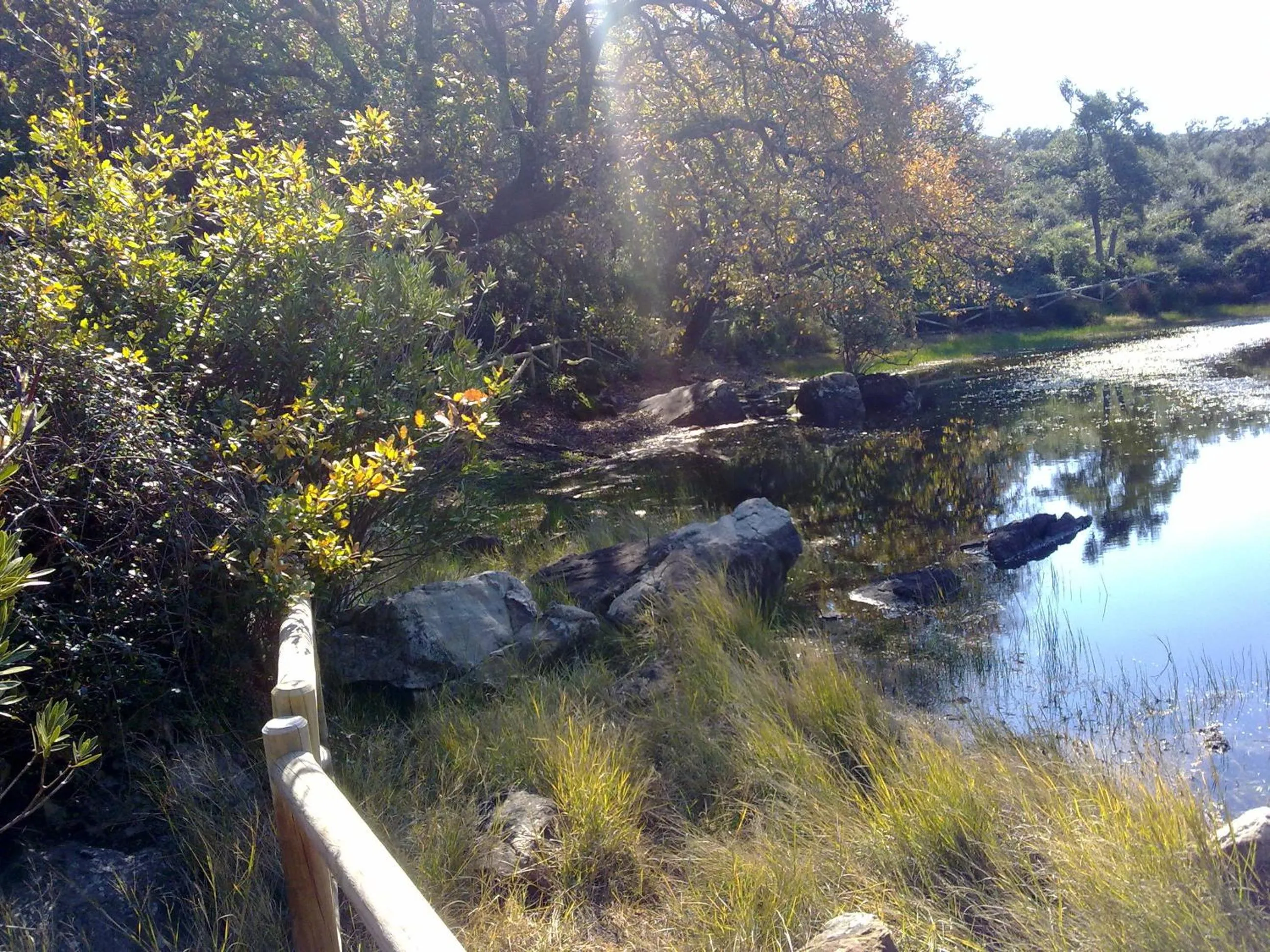 Natural landscape in La Palmosa