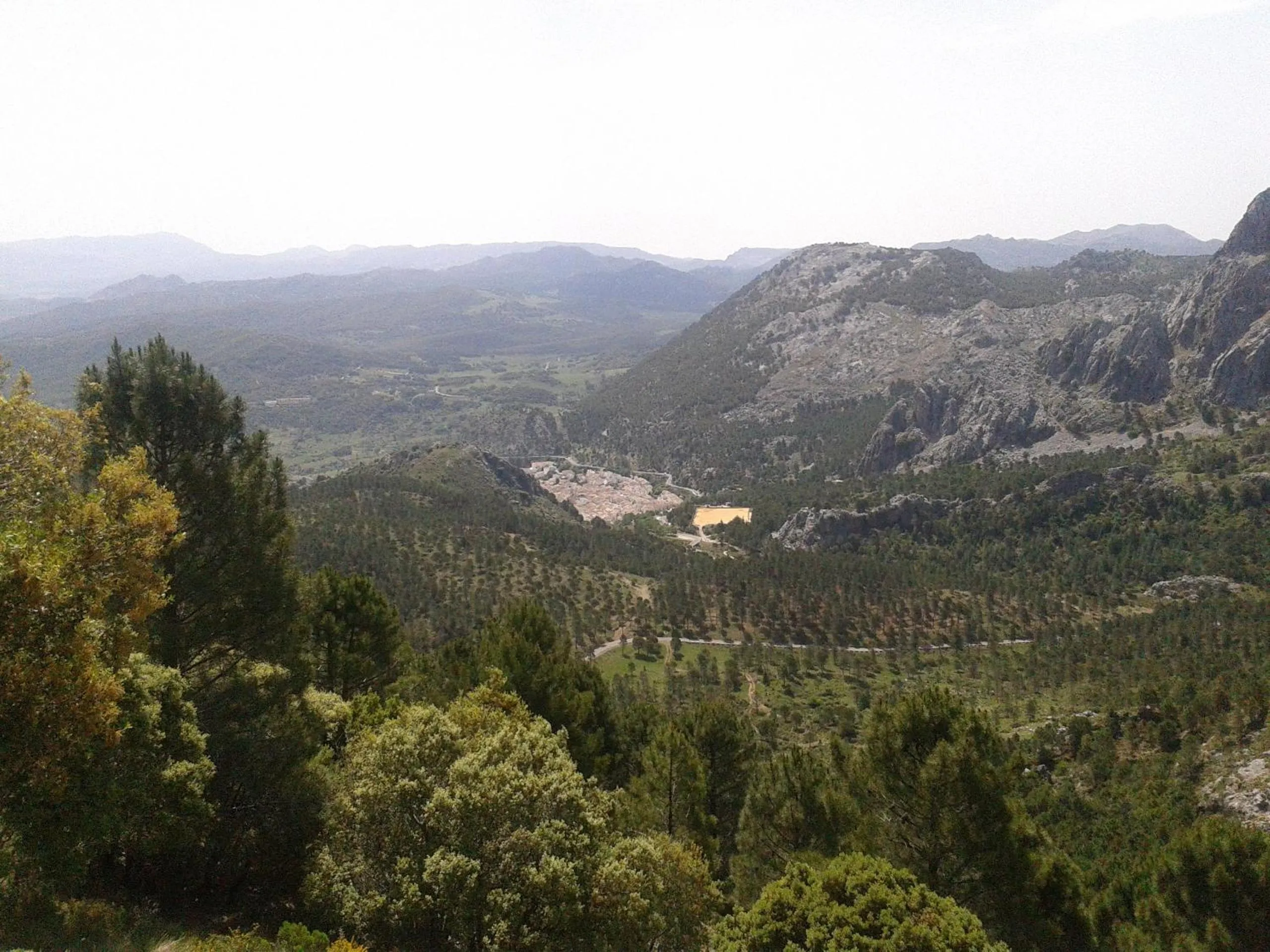 Natural landscape in La Palmosa