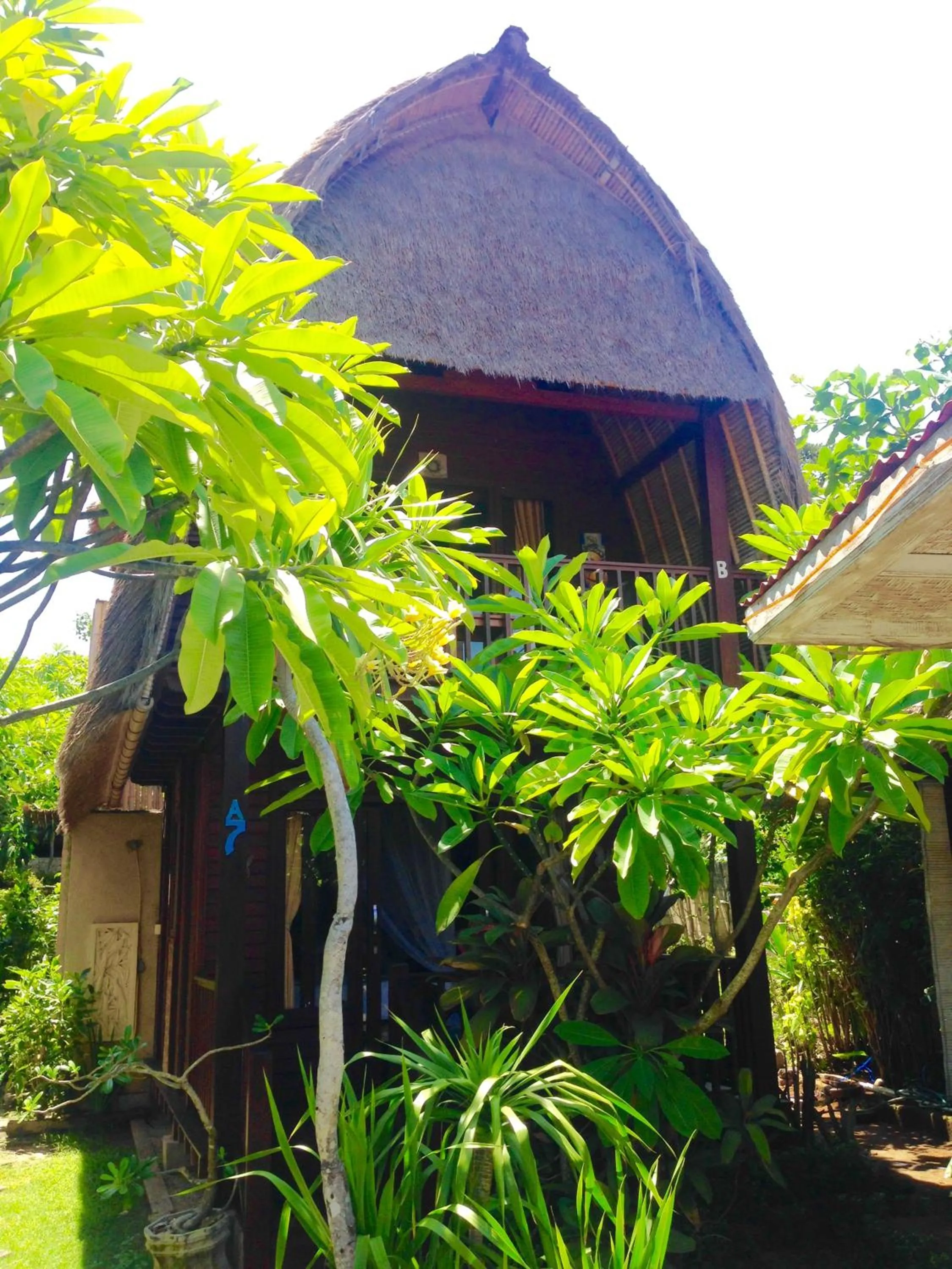 Property building in Nanuk's Bungalows