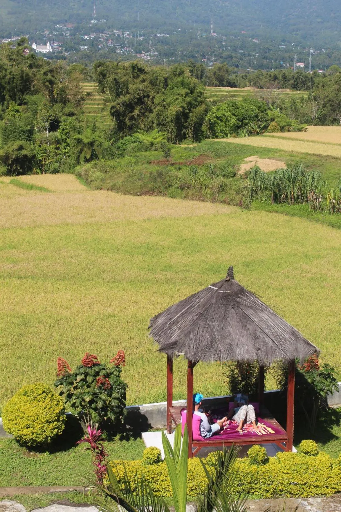 Hotel FX72 Ruteng