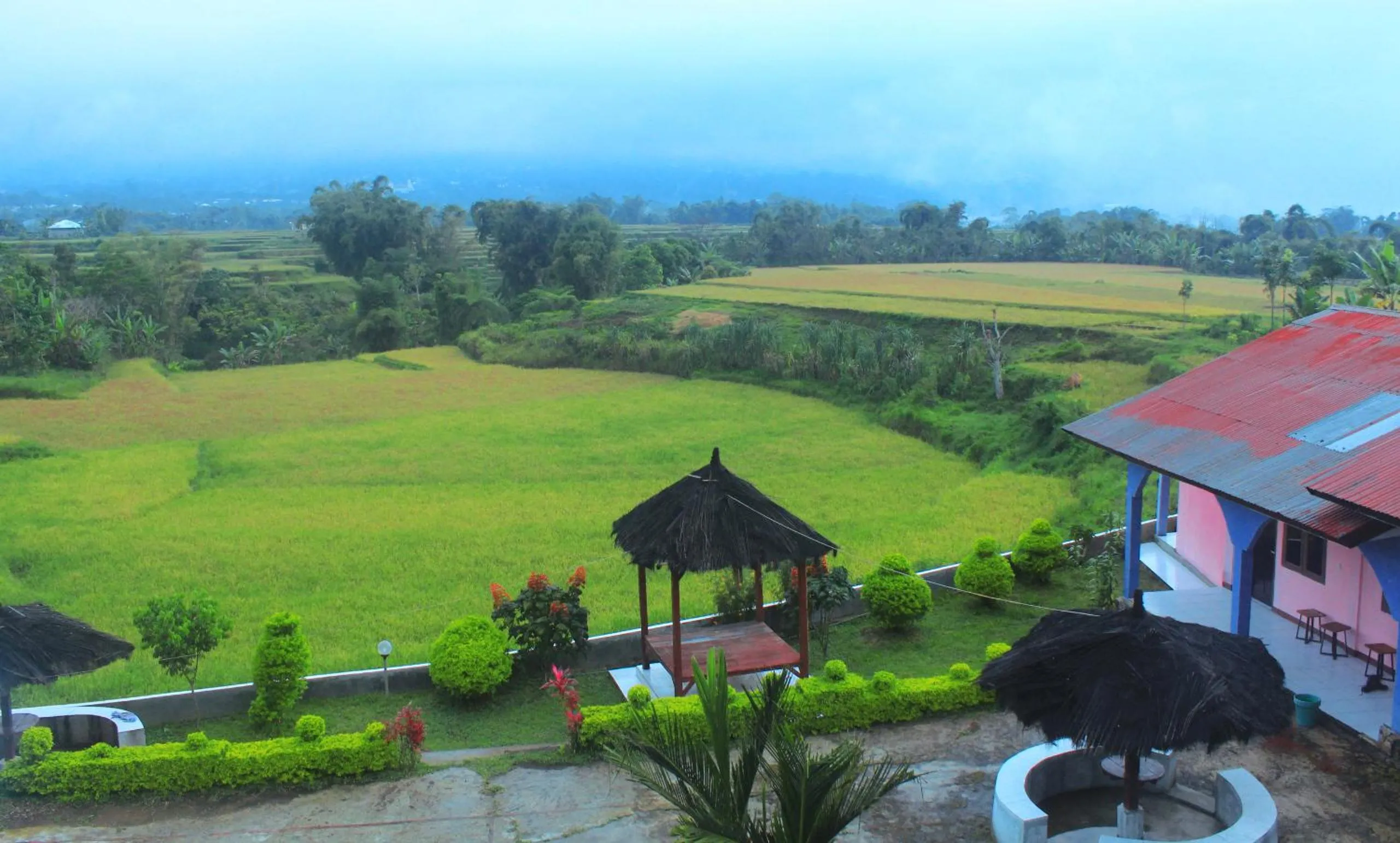 Natural landscape in Hotel FX72 Ruteng
