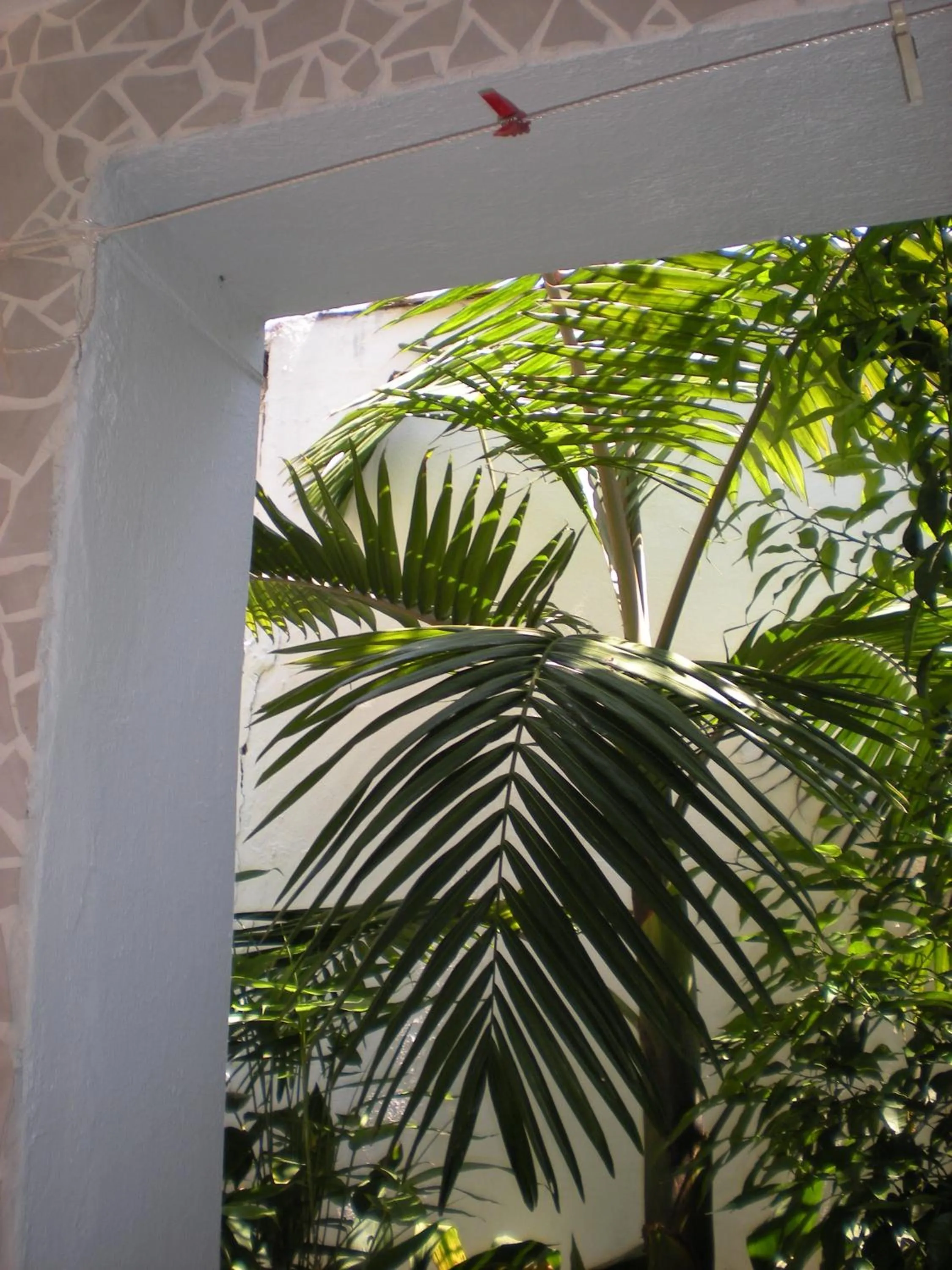 Decorative detail in Manolis' House
