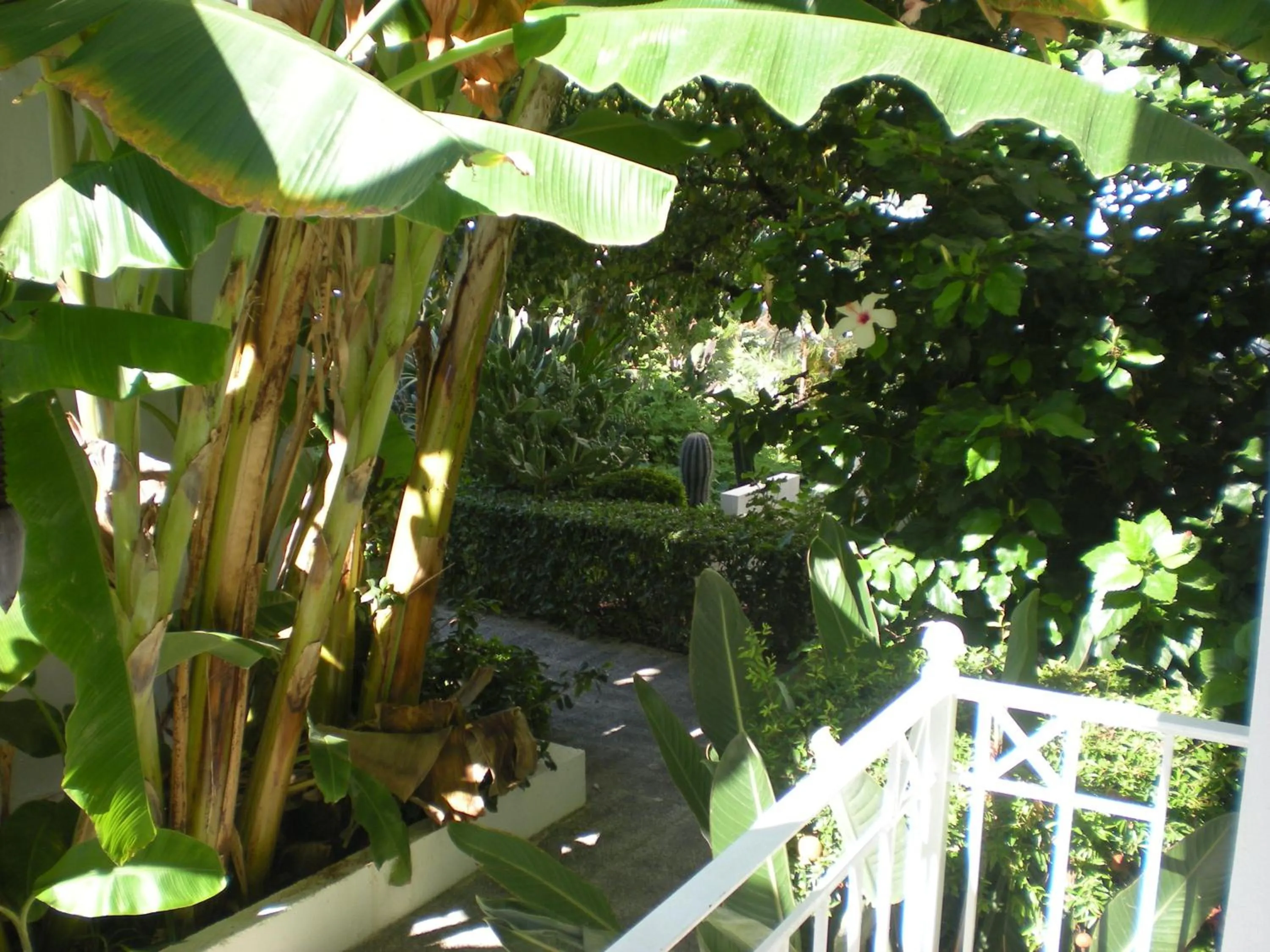 Day in Manolis' House