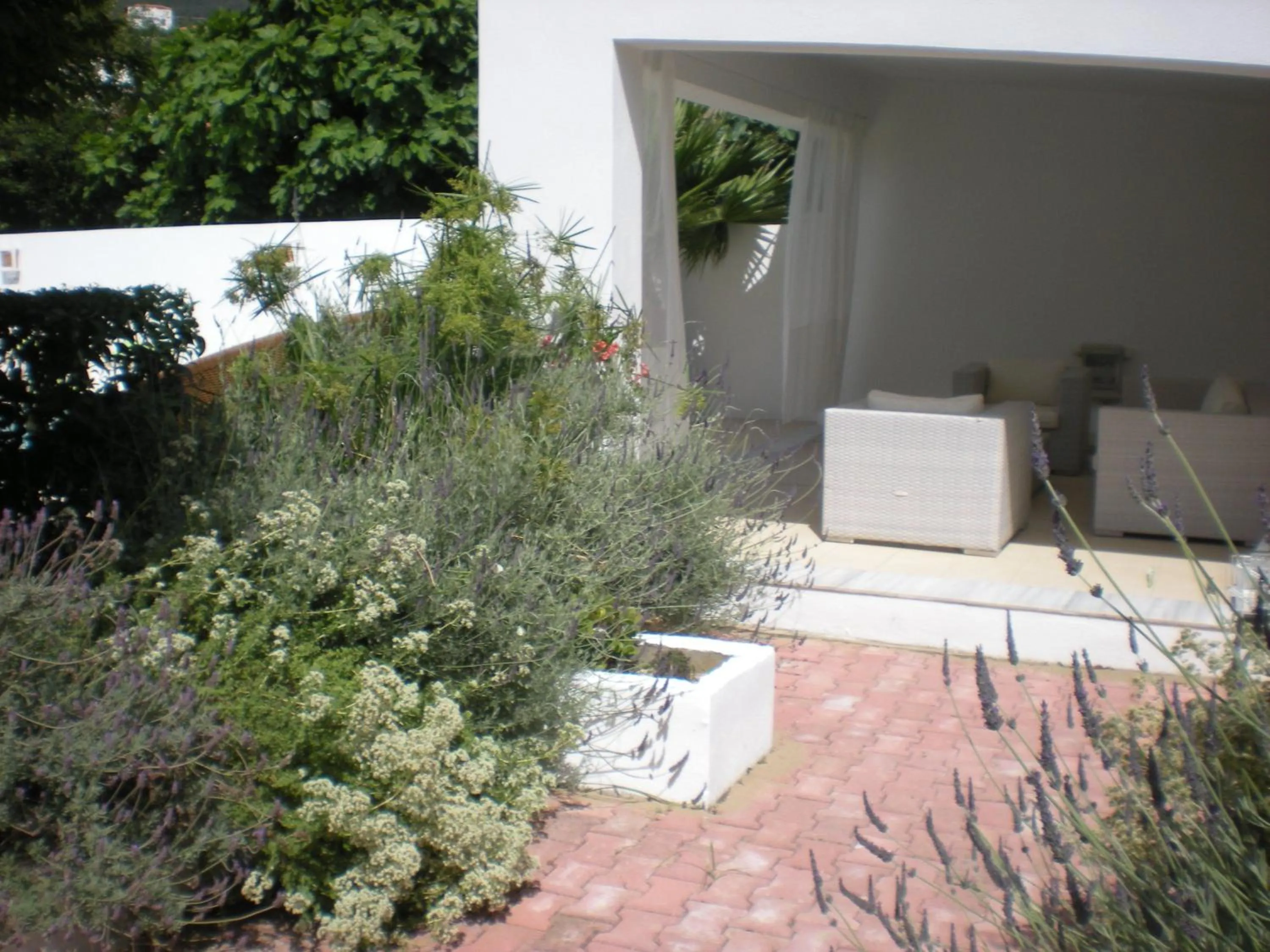 Balcony/Terrace in Manolis' House